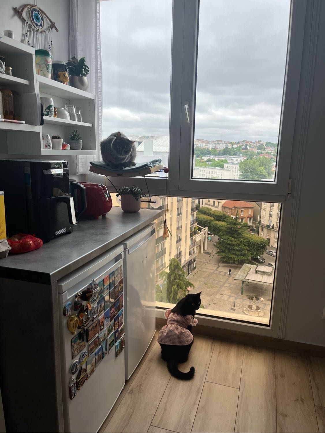 image-11