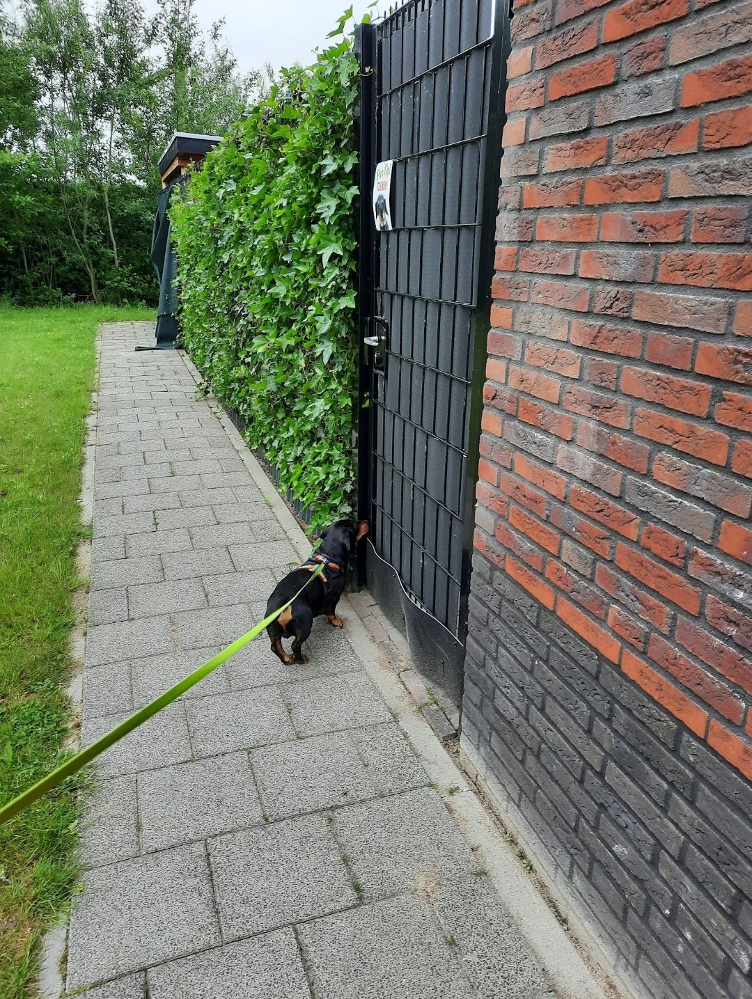 image-9