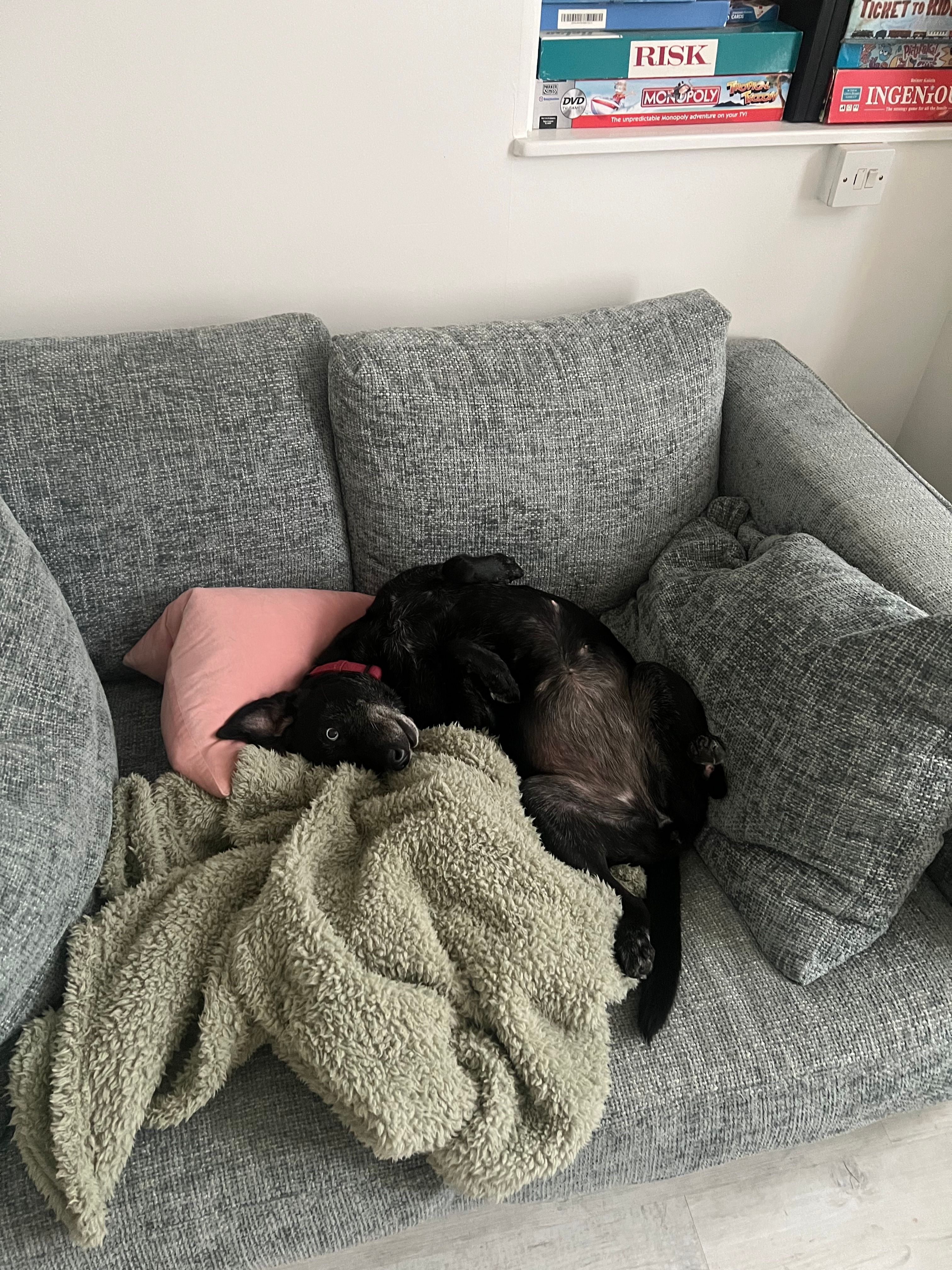image-26