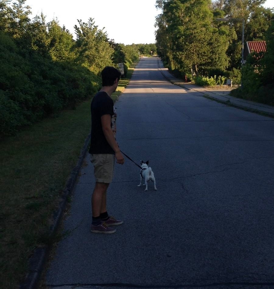 image-1