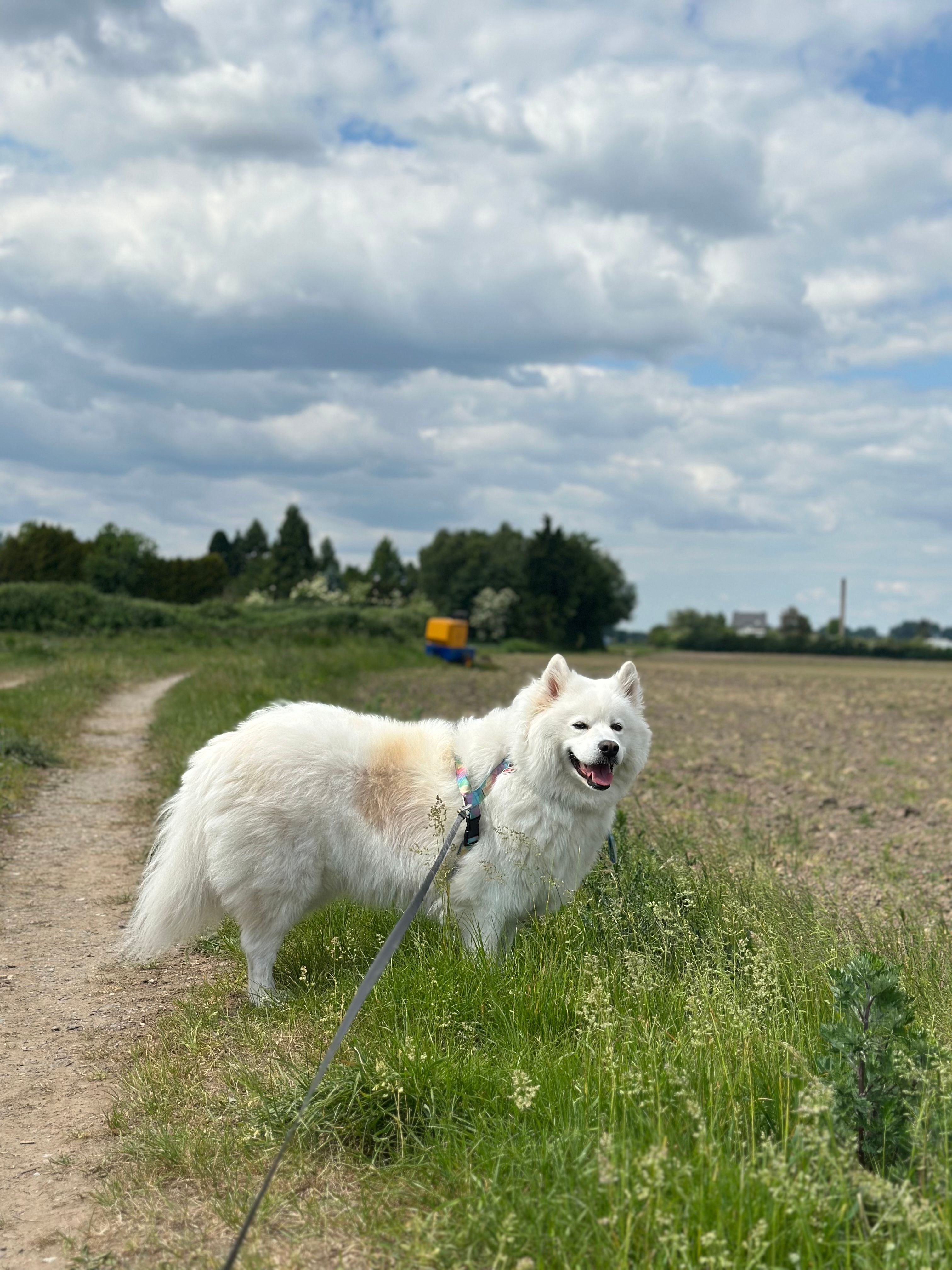 image-16