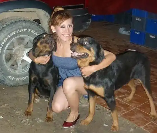 image-24