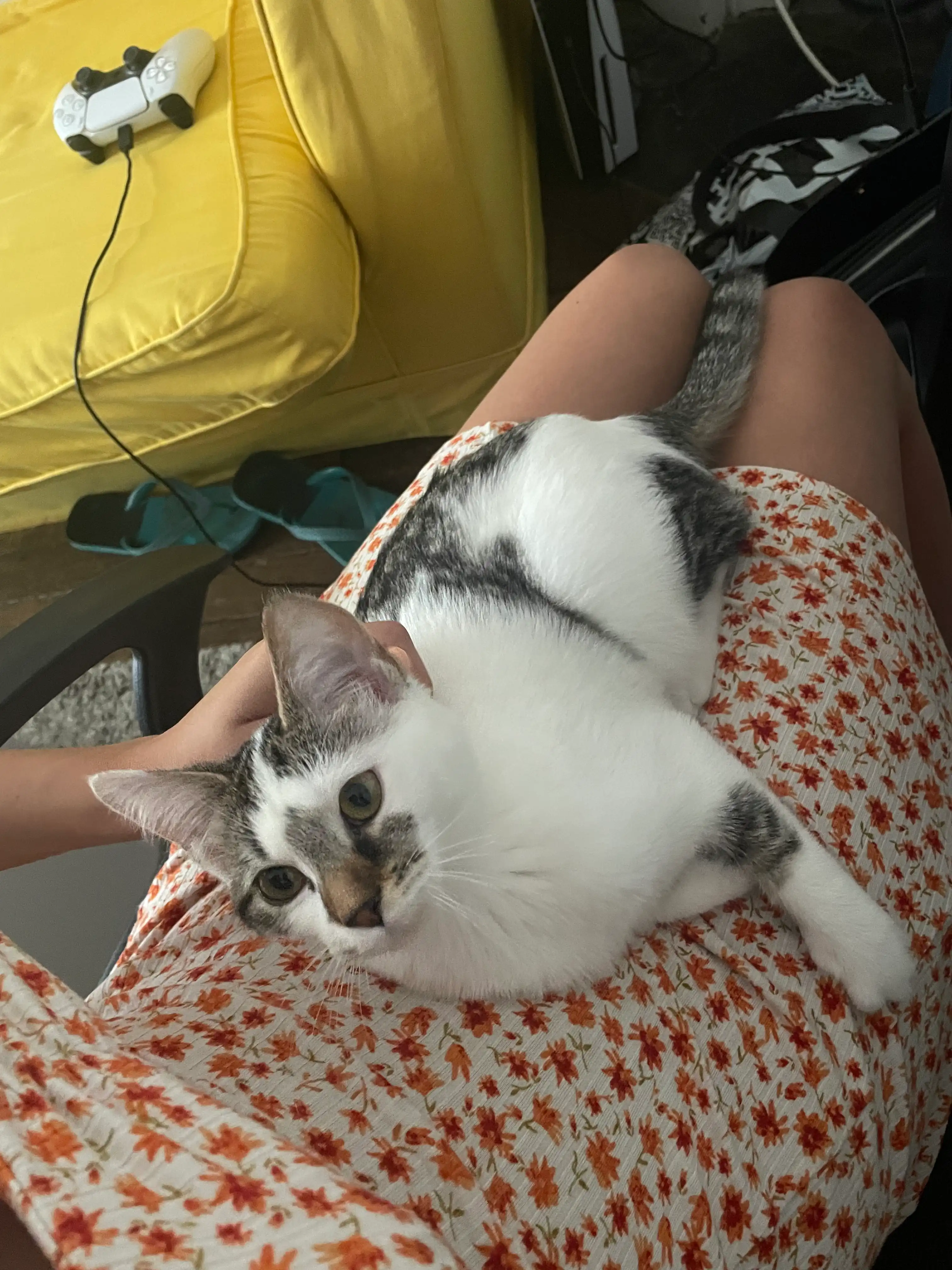 image-7