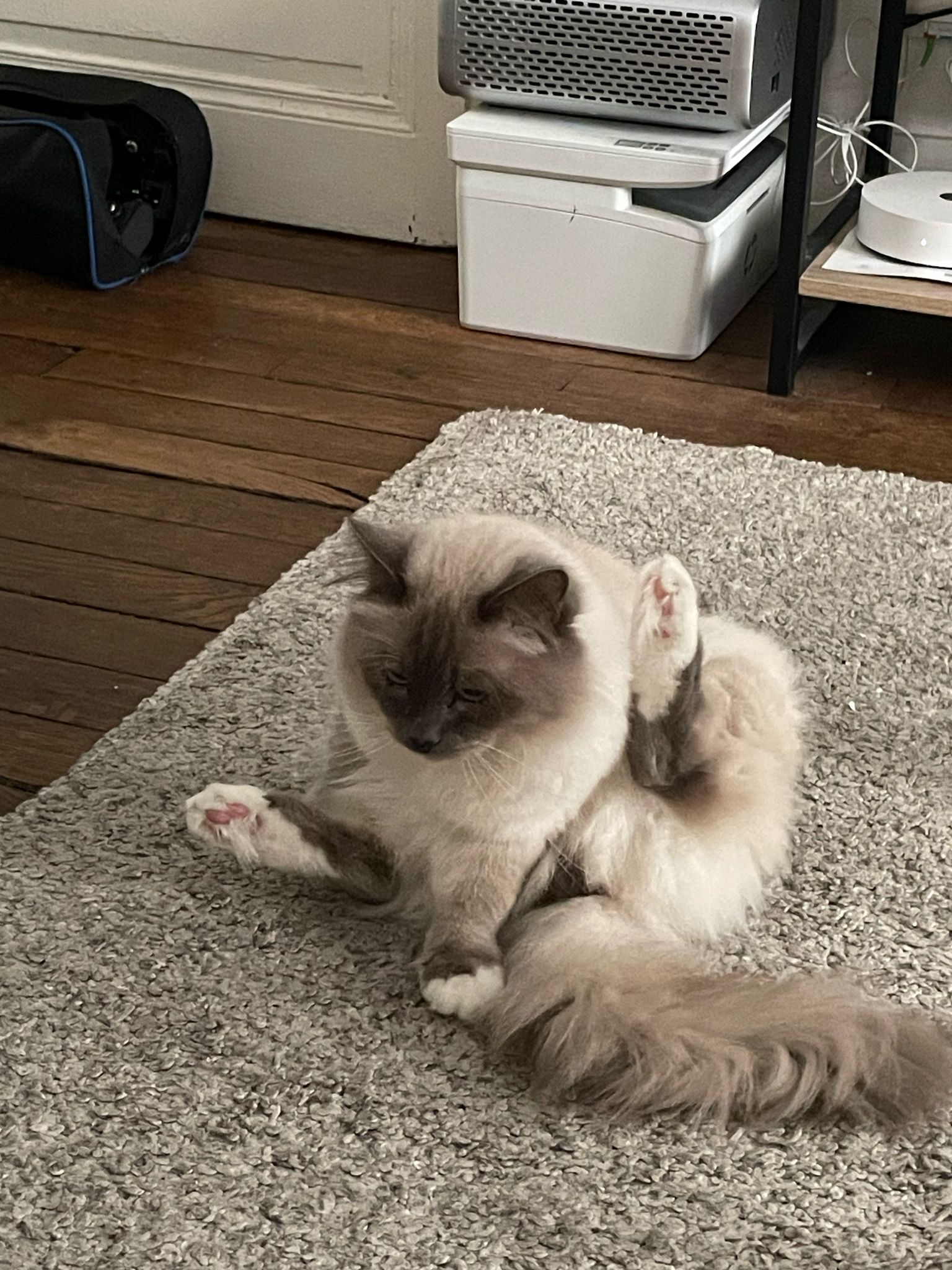 image-11