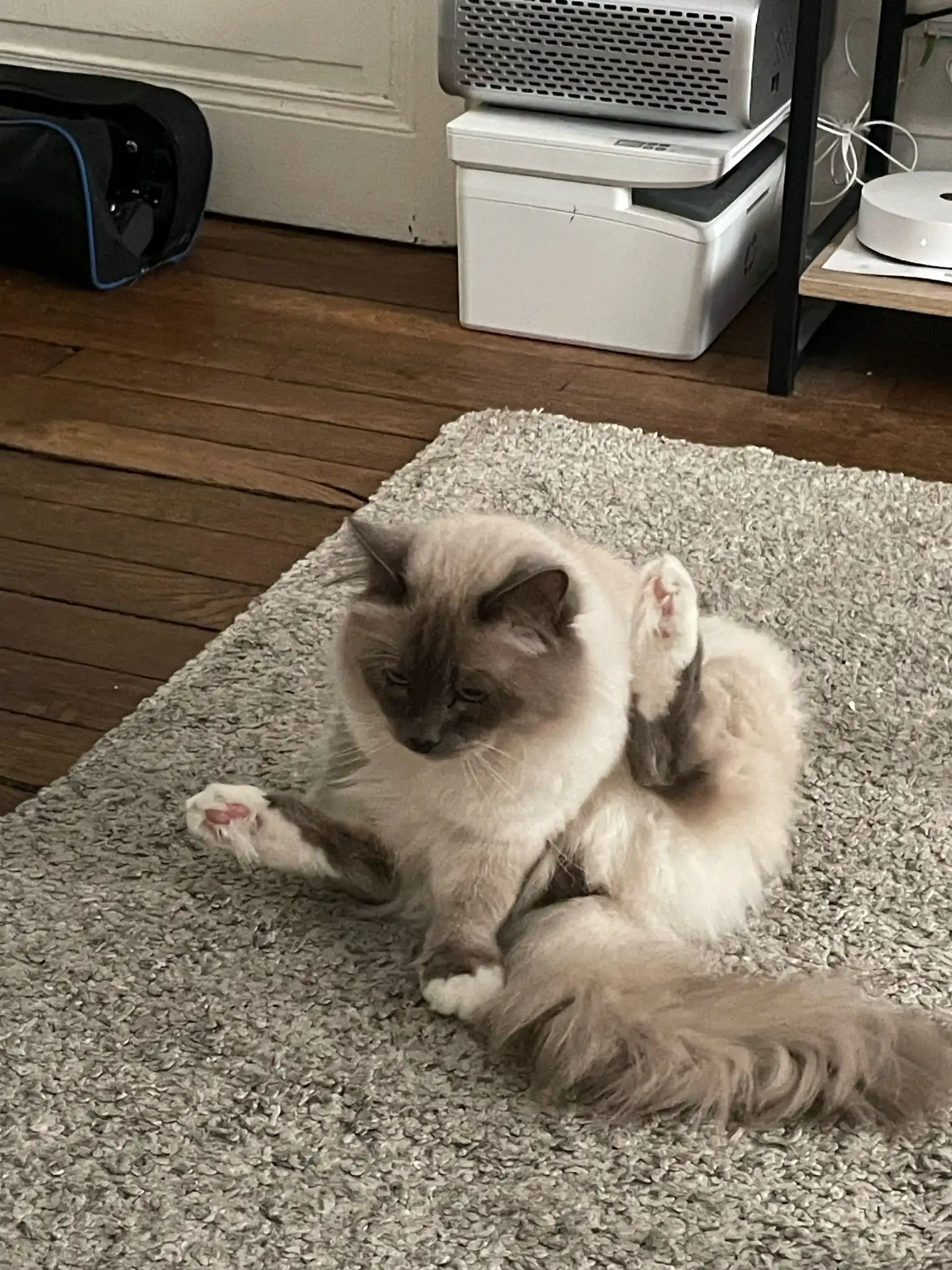 image-11
