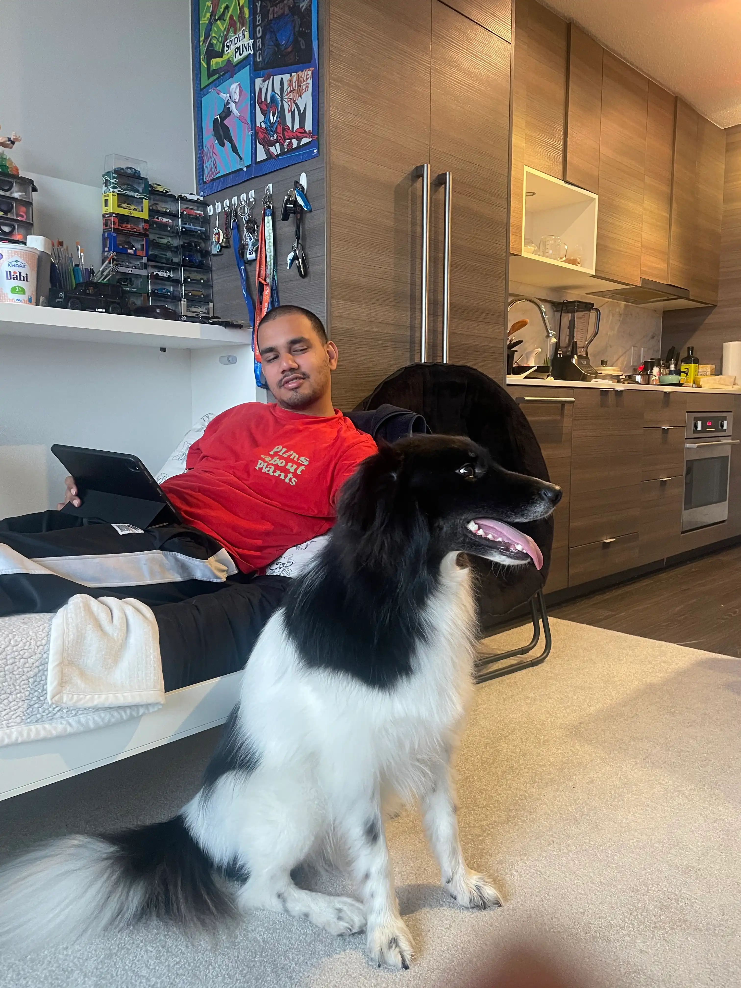 image-18
