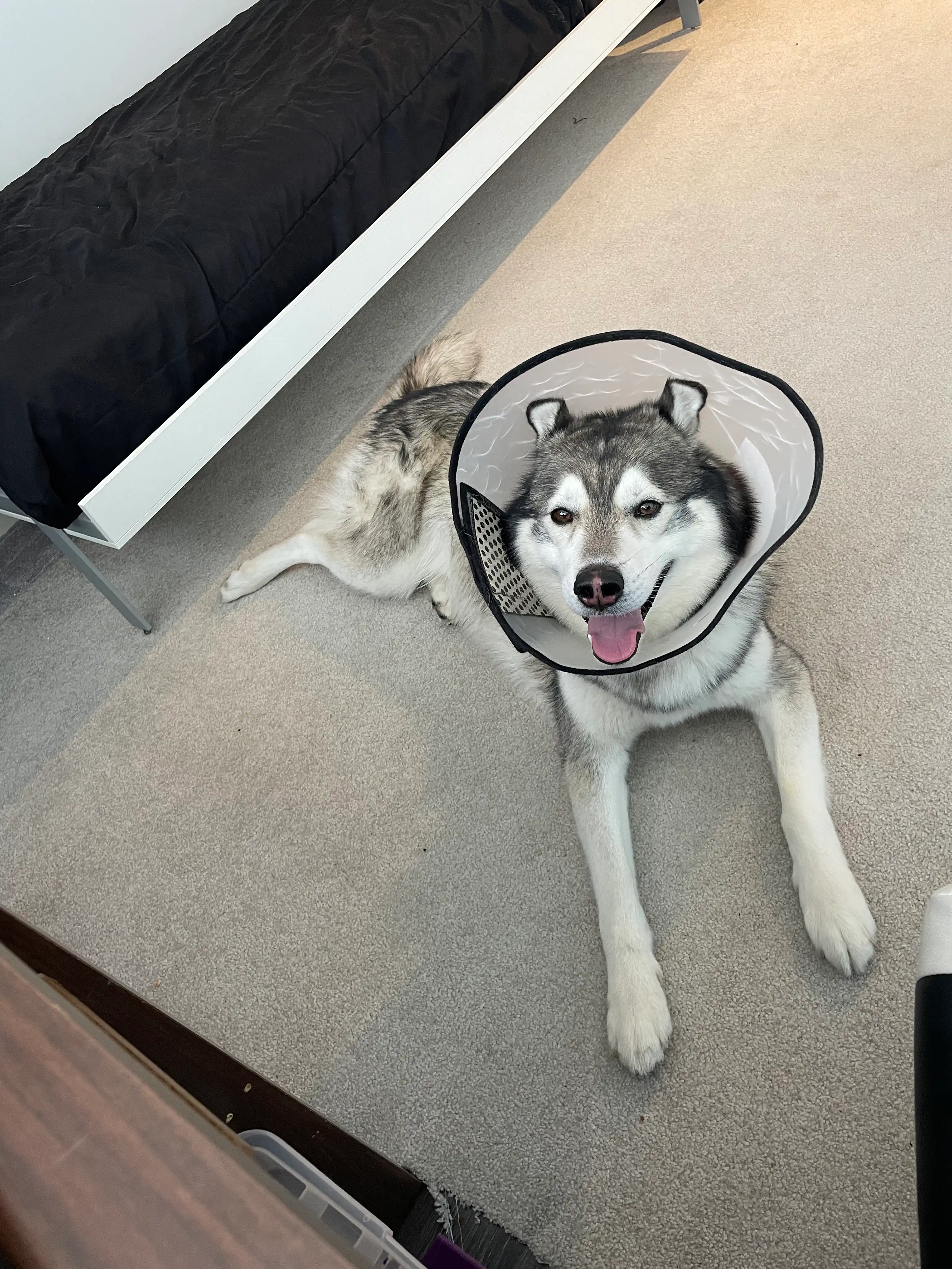 image-9