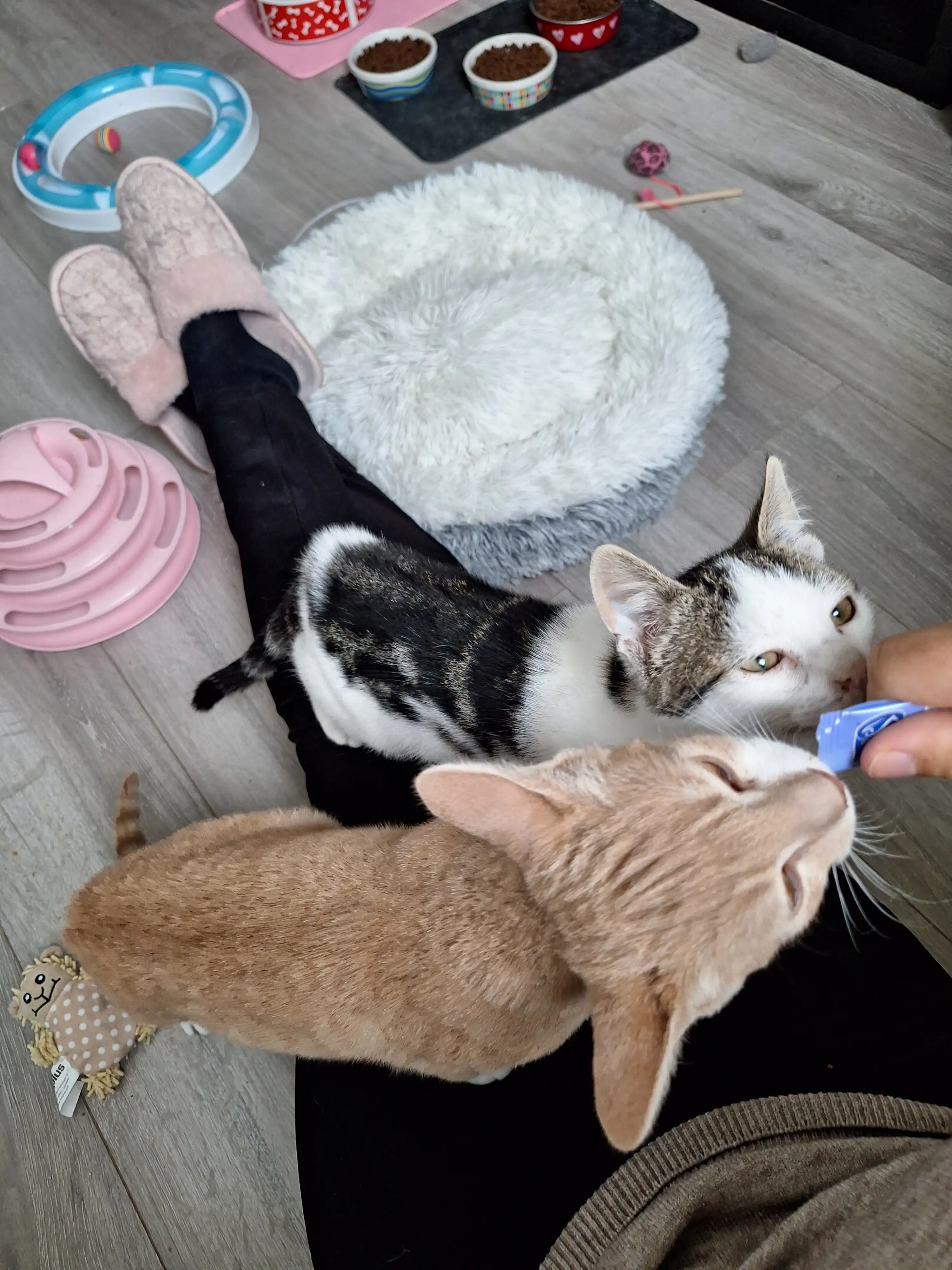 image-6