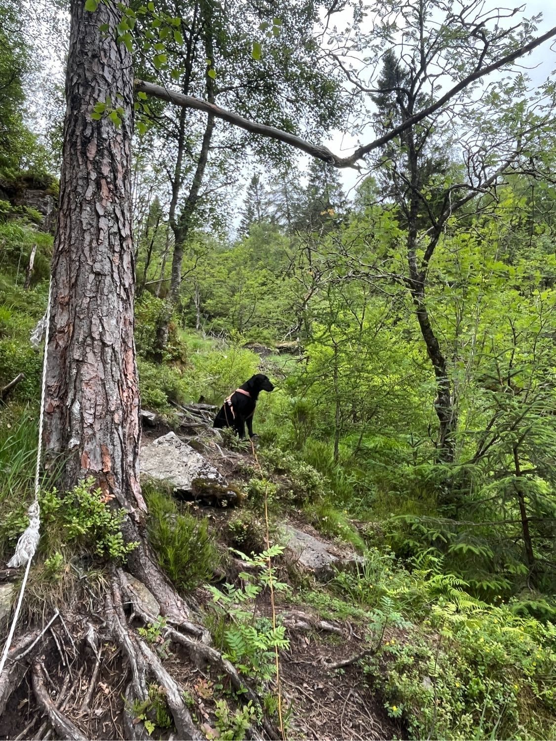 image-9