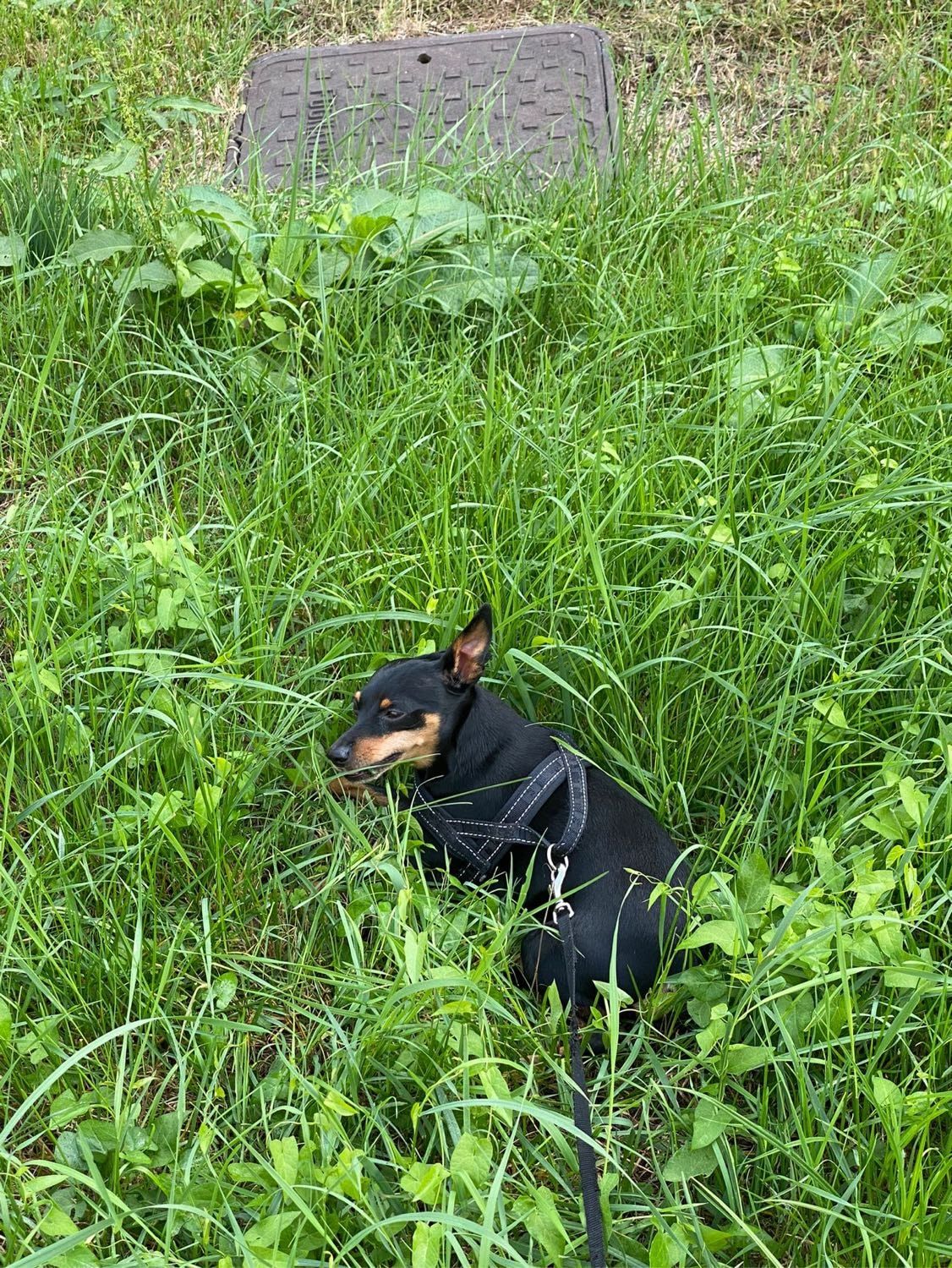 image-5