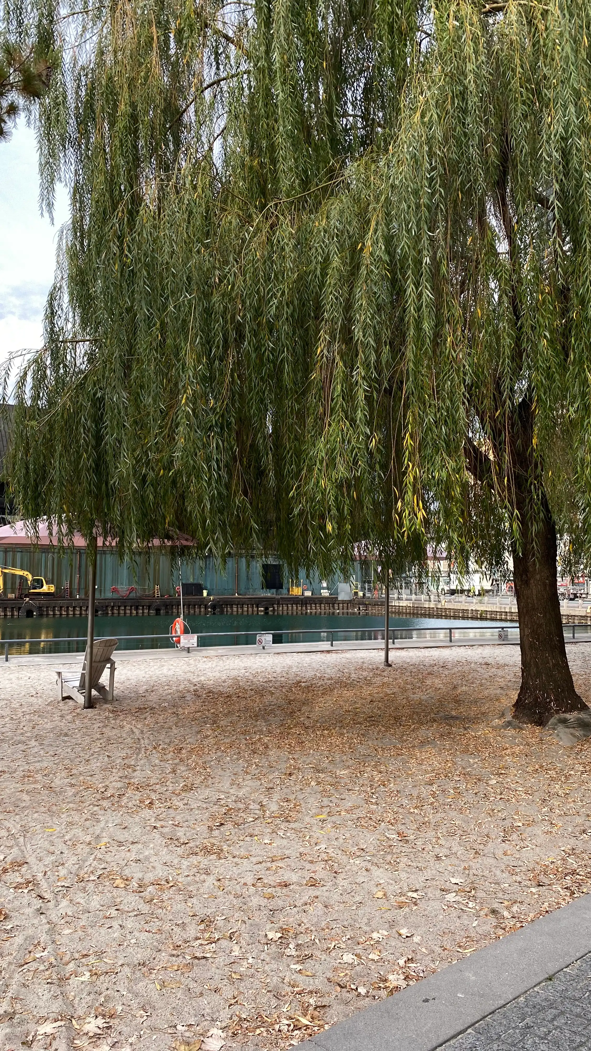 image-39