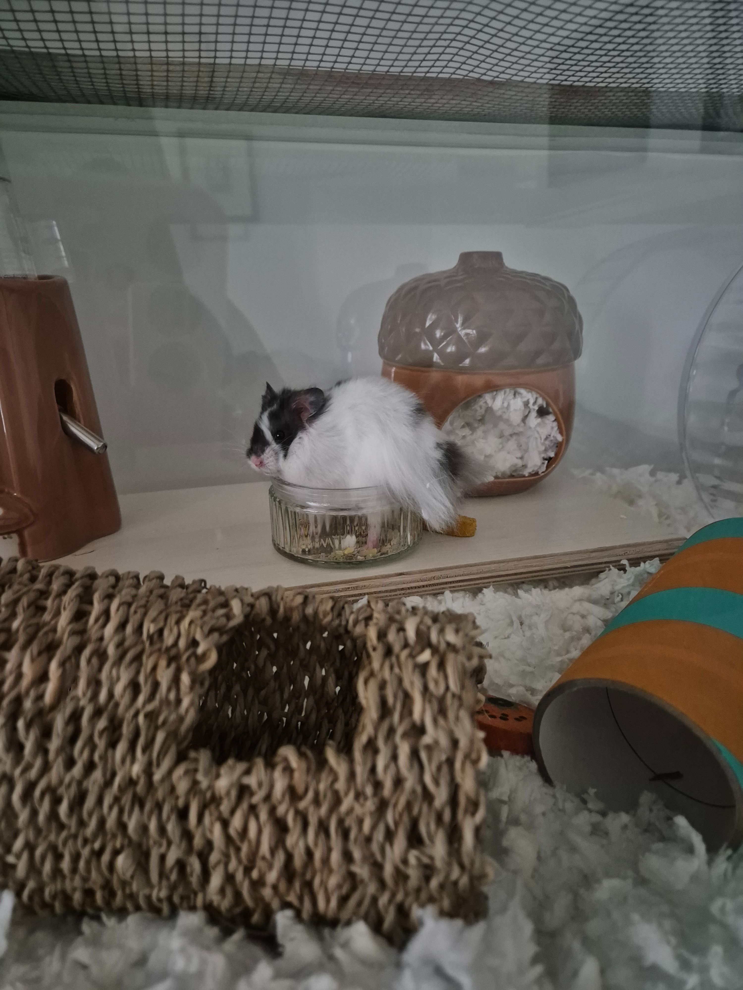 image-3
