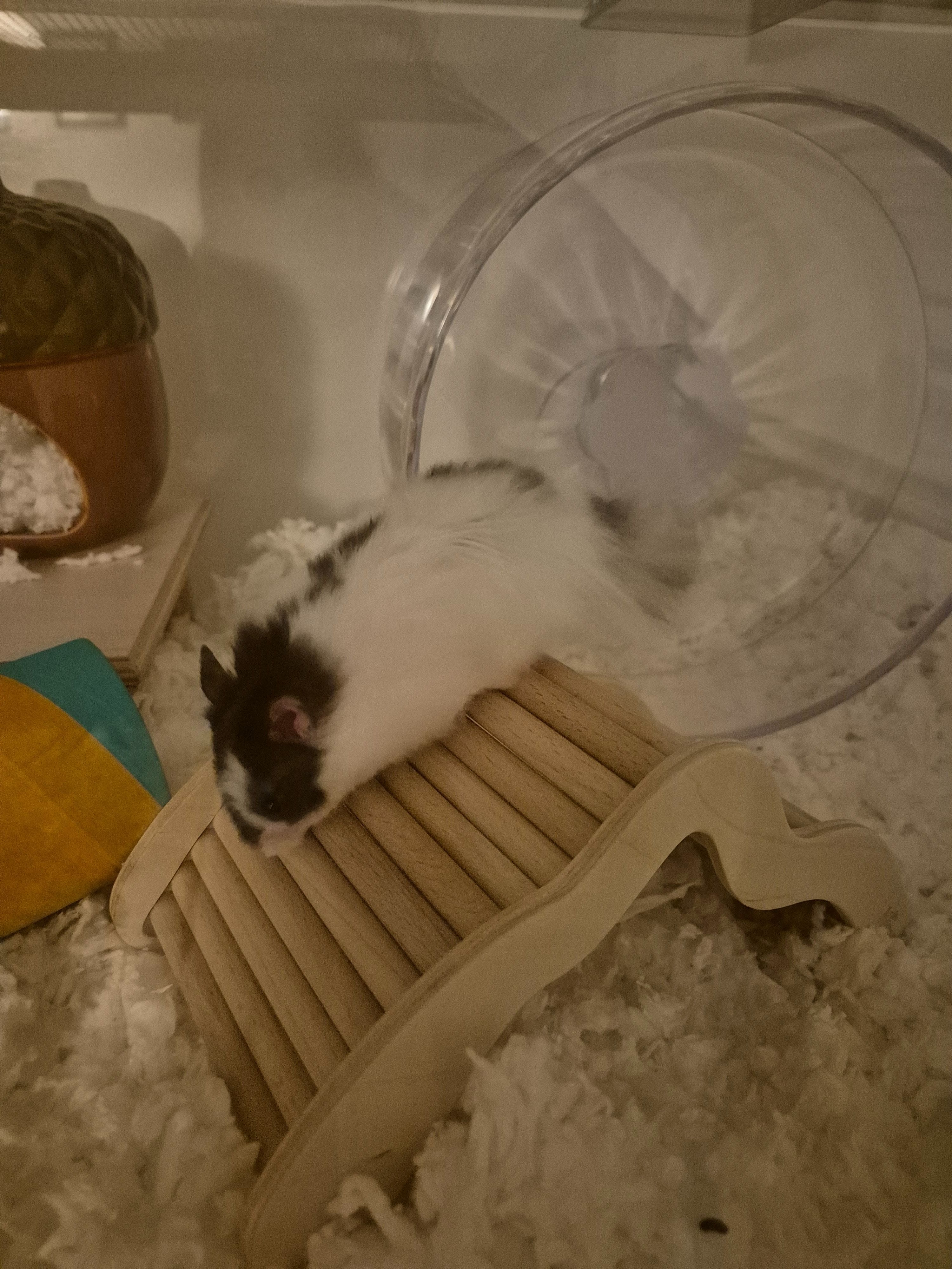 image-4