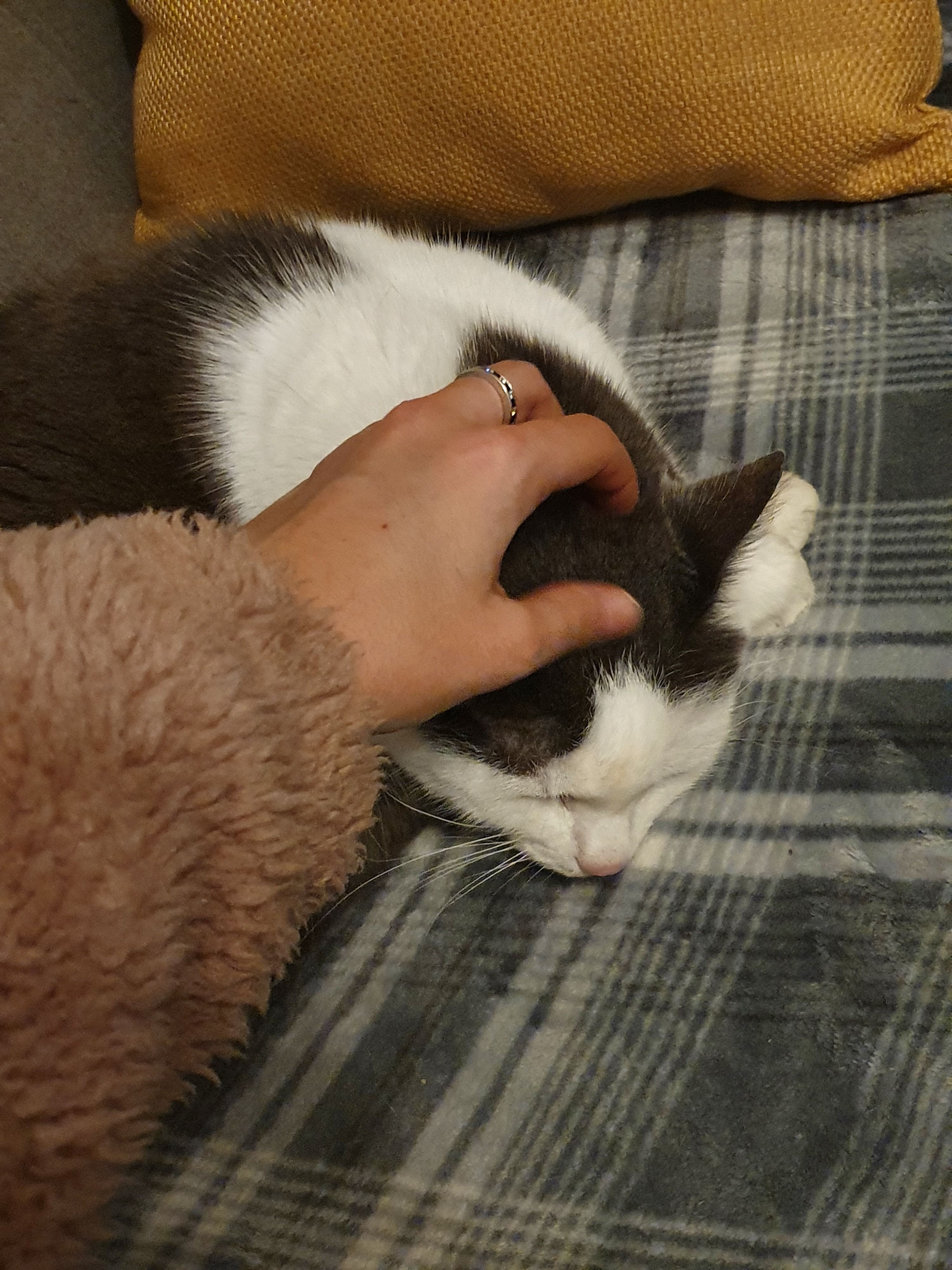 image-6