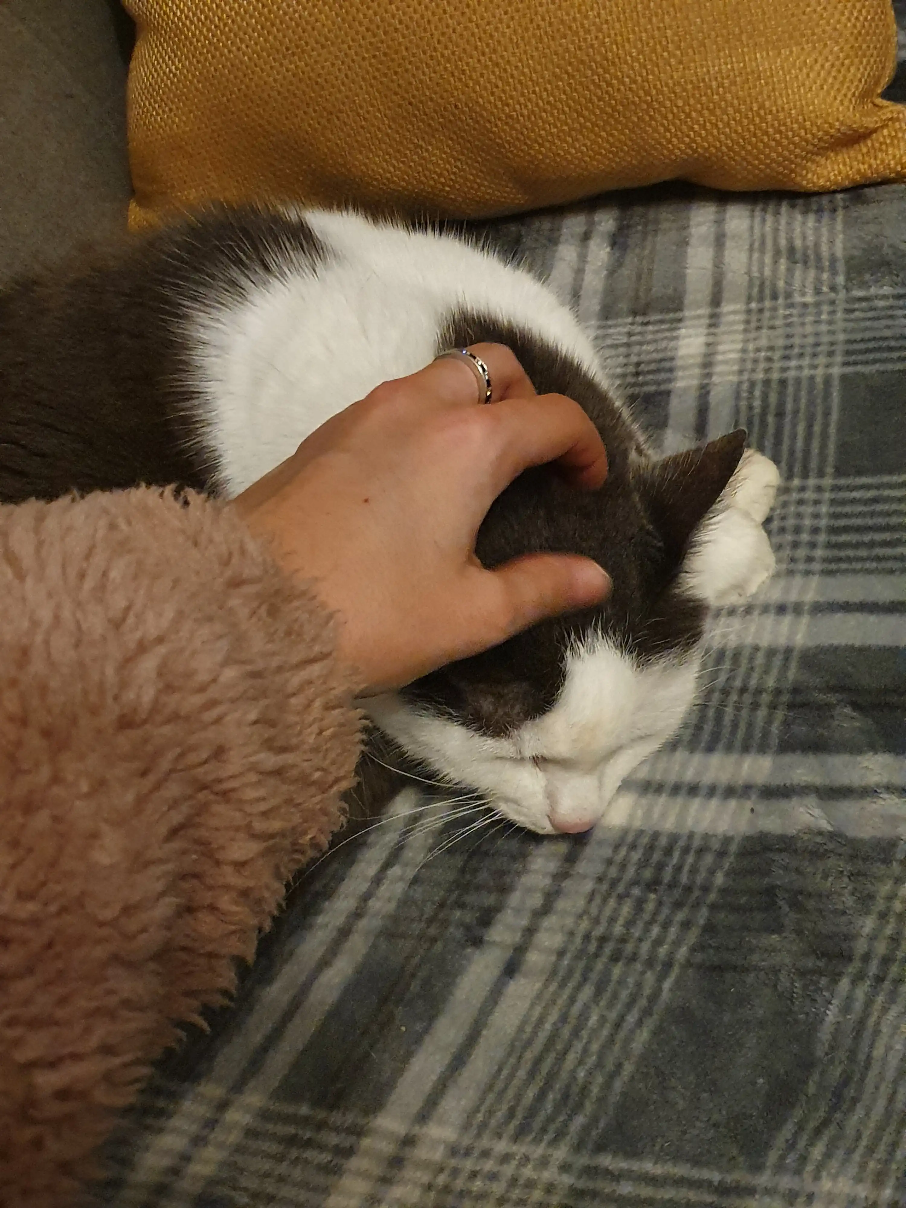 image-6