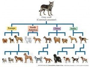 image-32