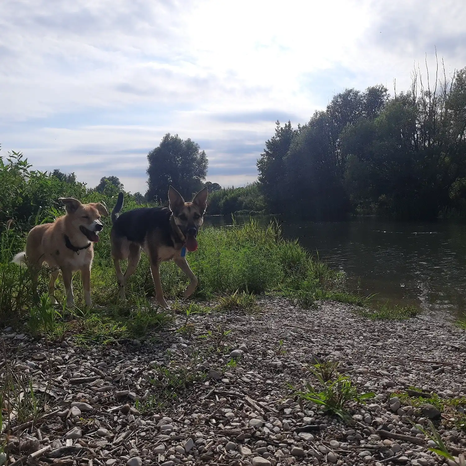 image-27