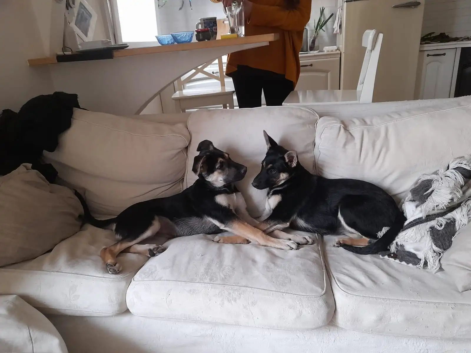 image-18