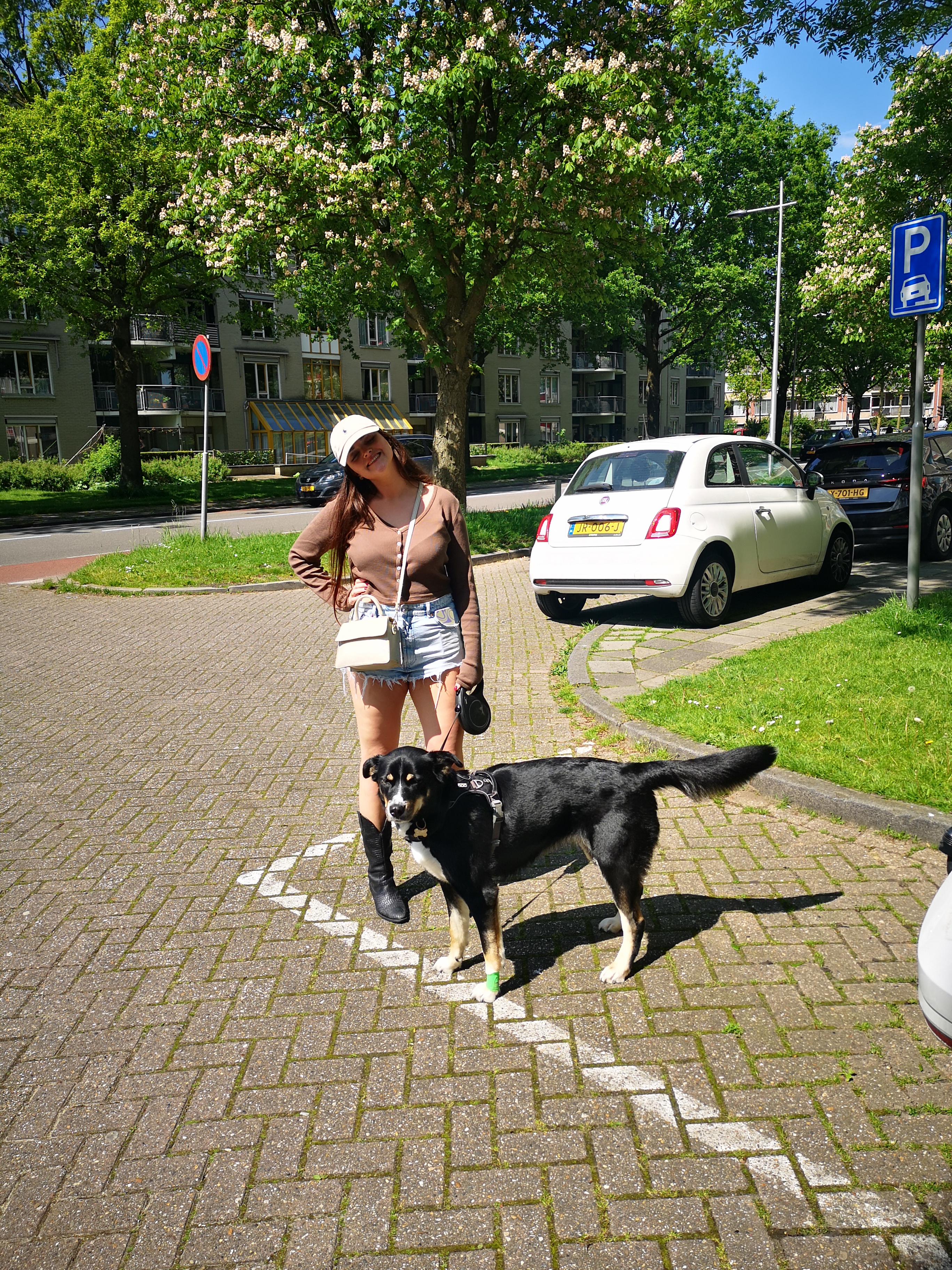 image-5