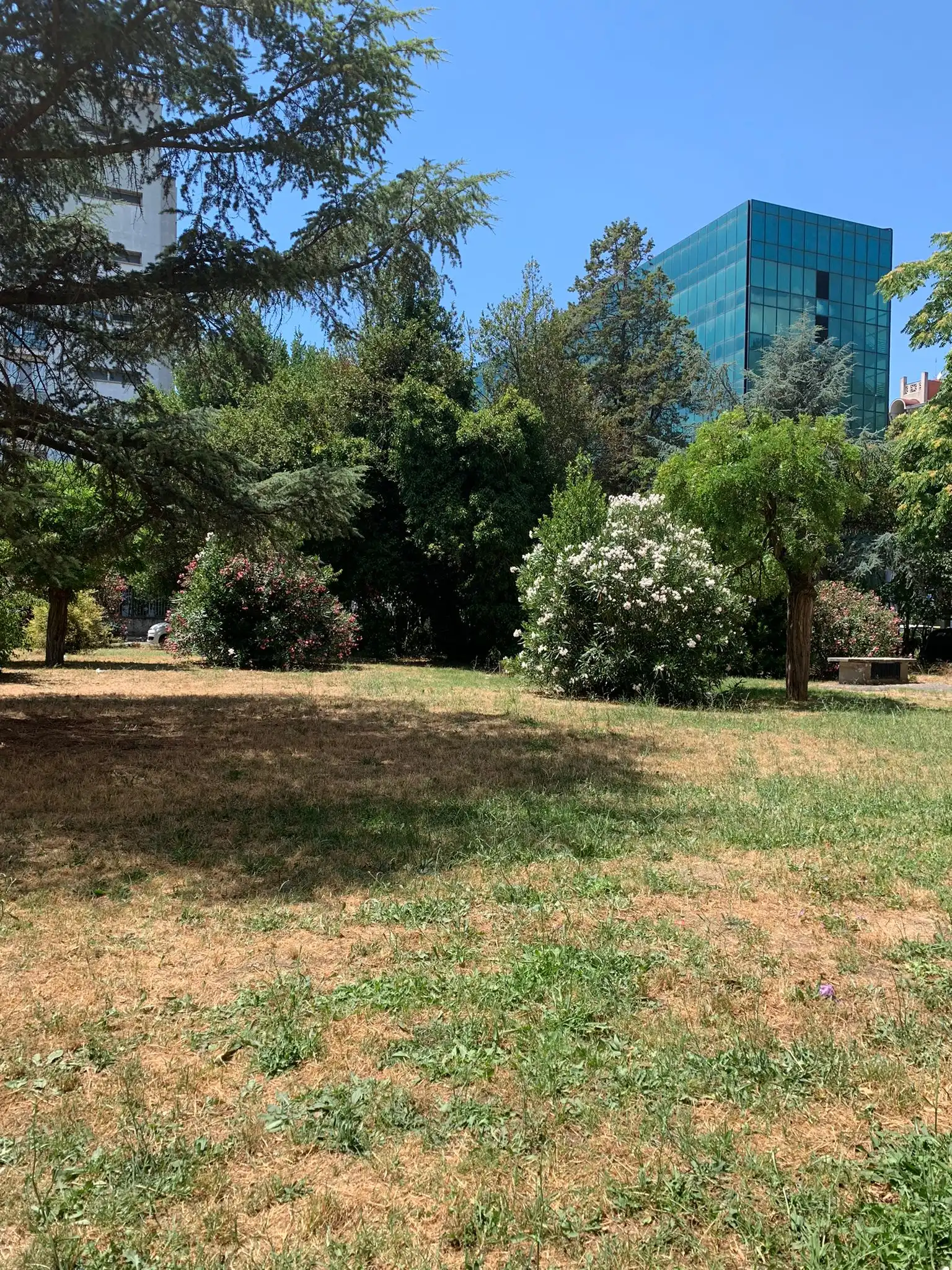 image-19