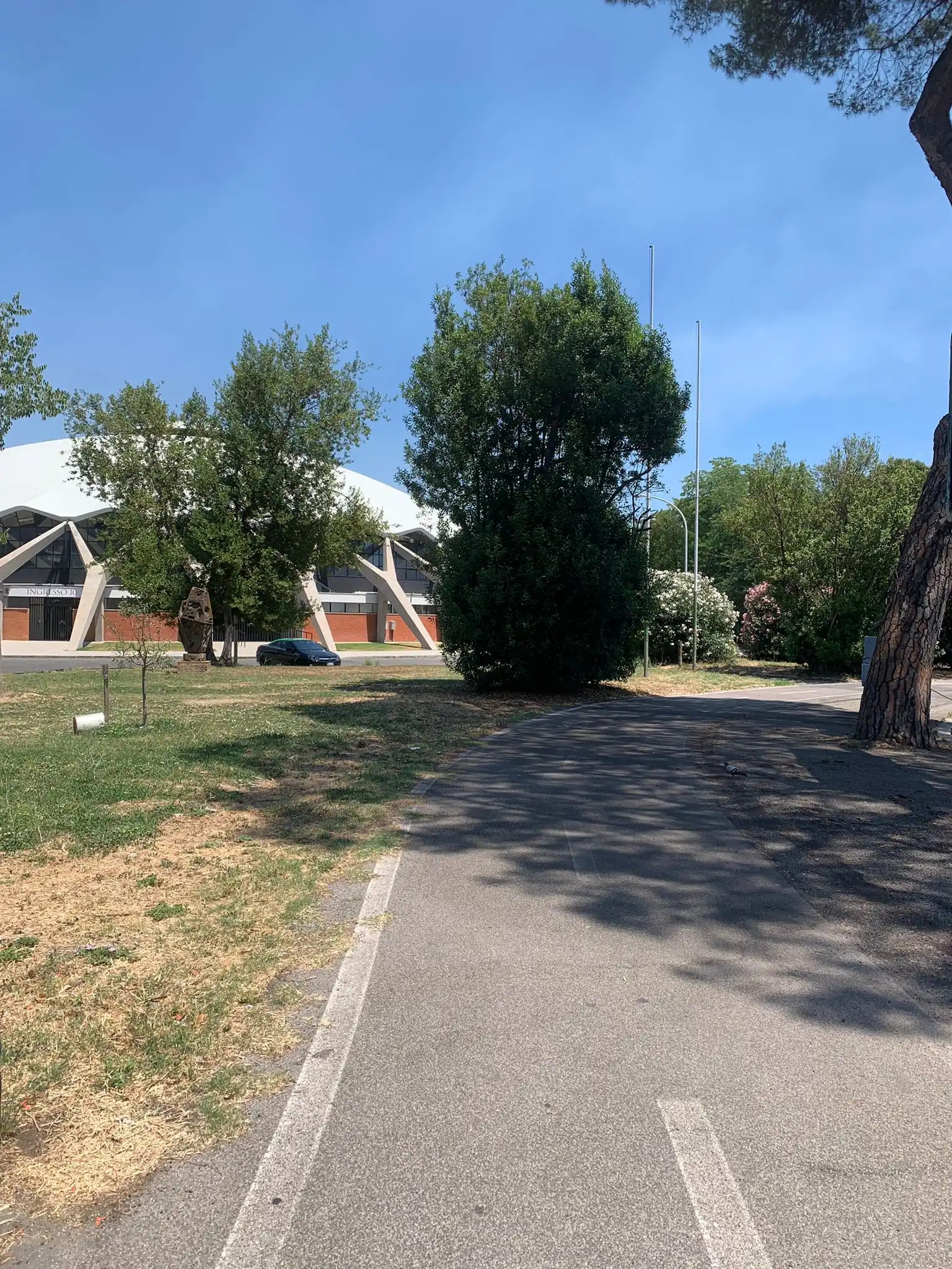 image-18