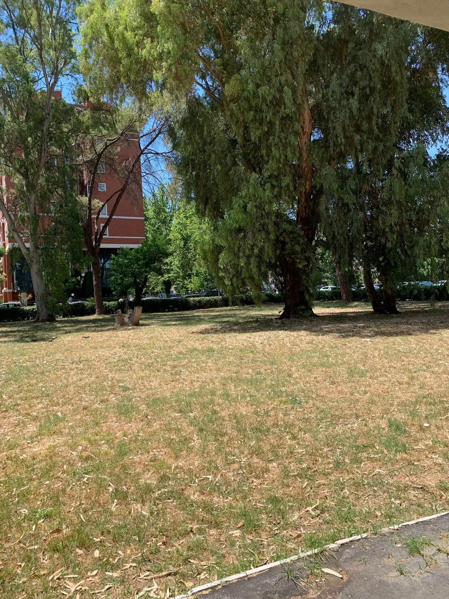 image-20