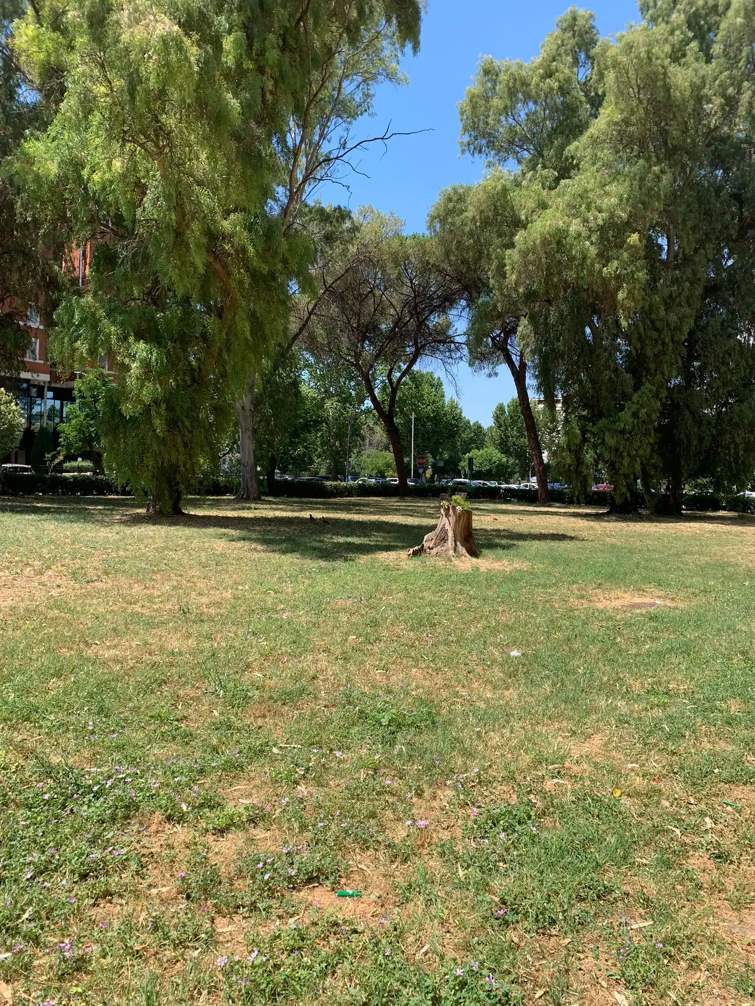 image-17