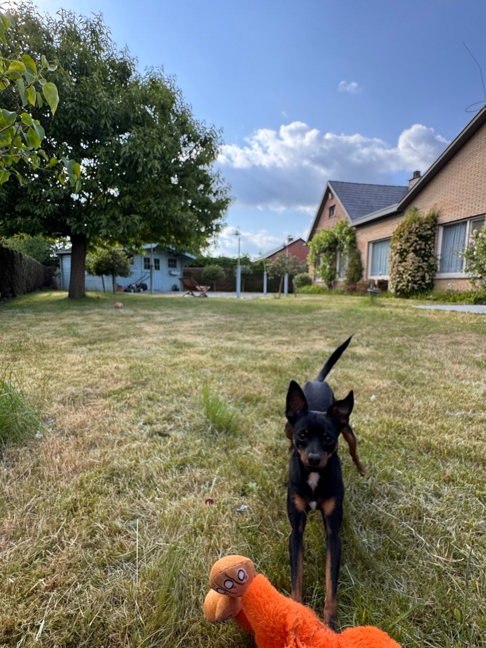 image-13