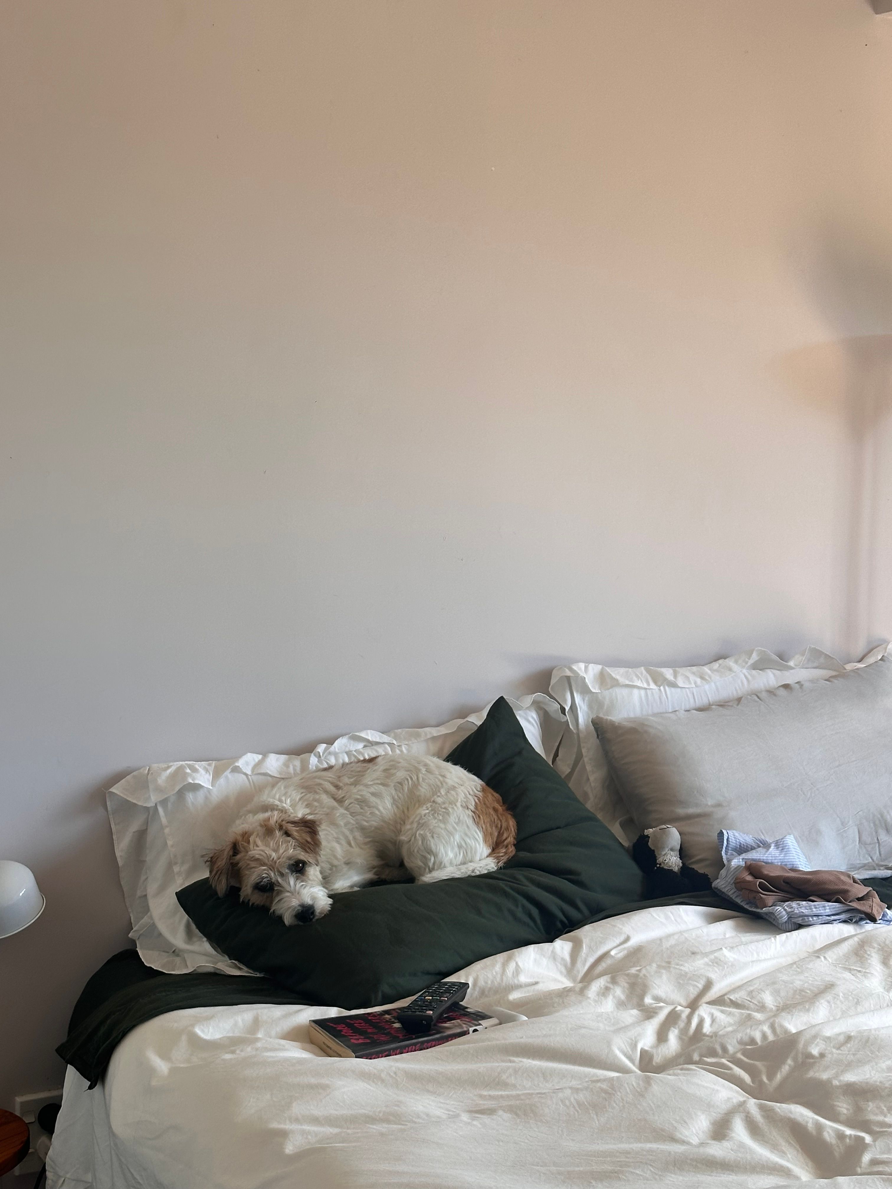 image-9