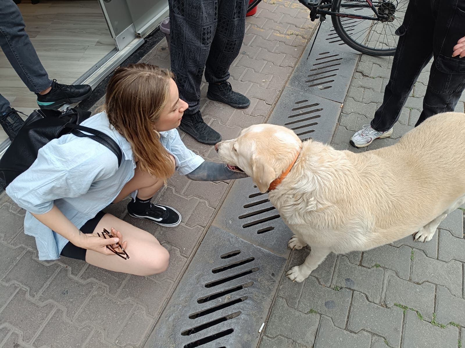 image-44
