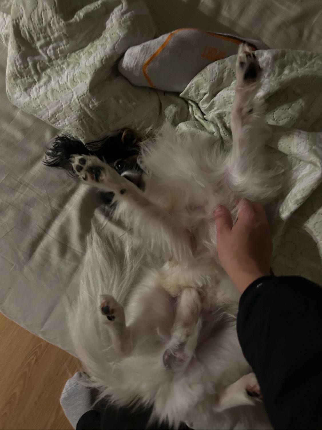 image-9