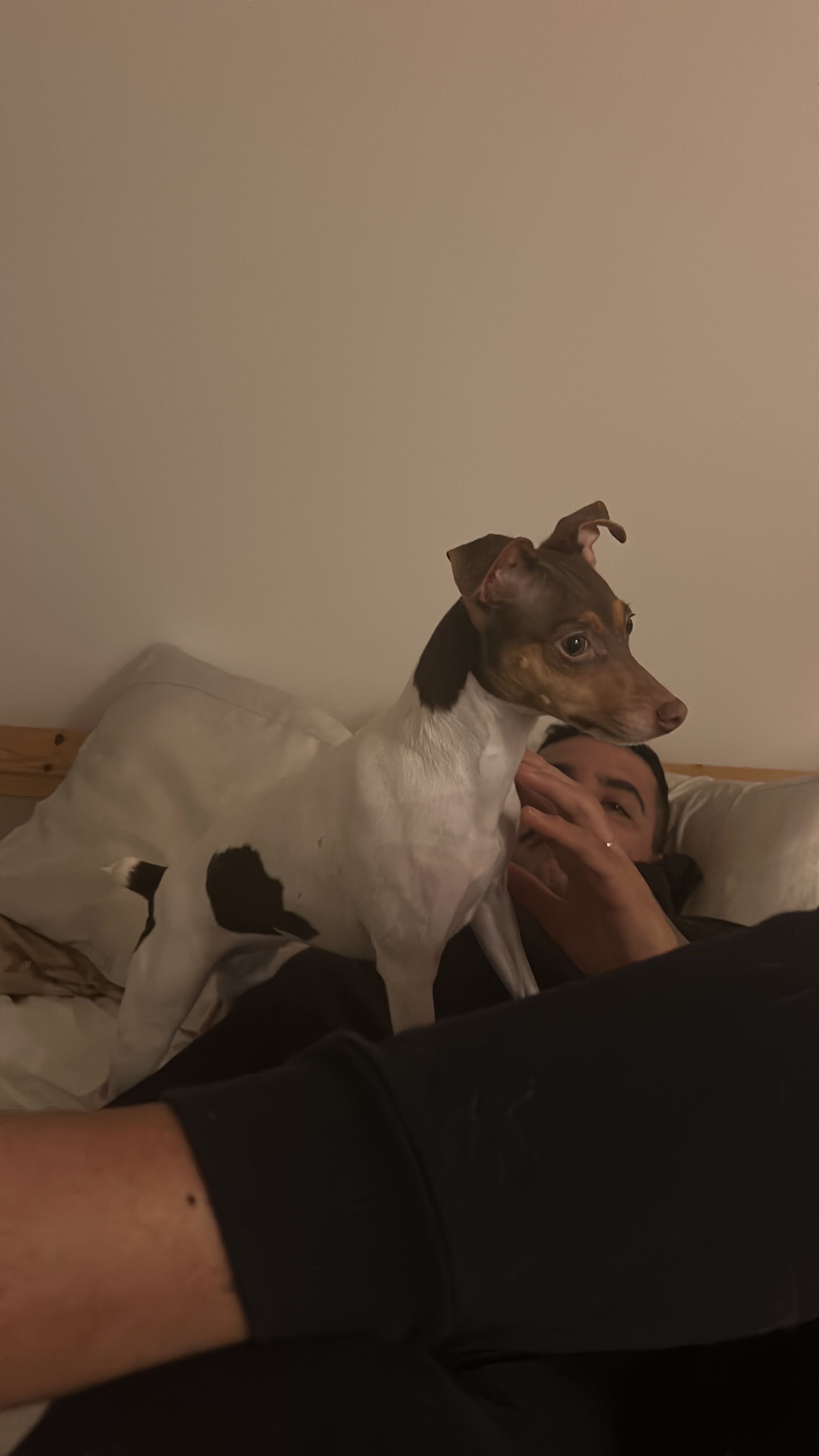 image-17
