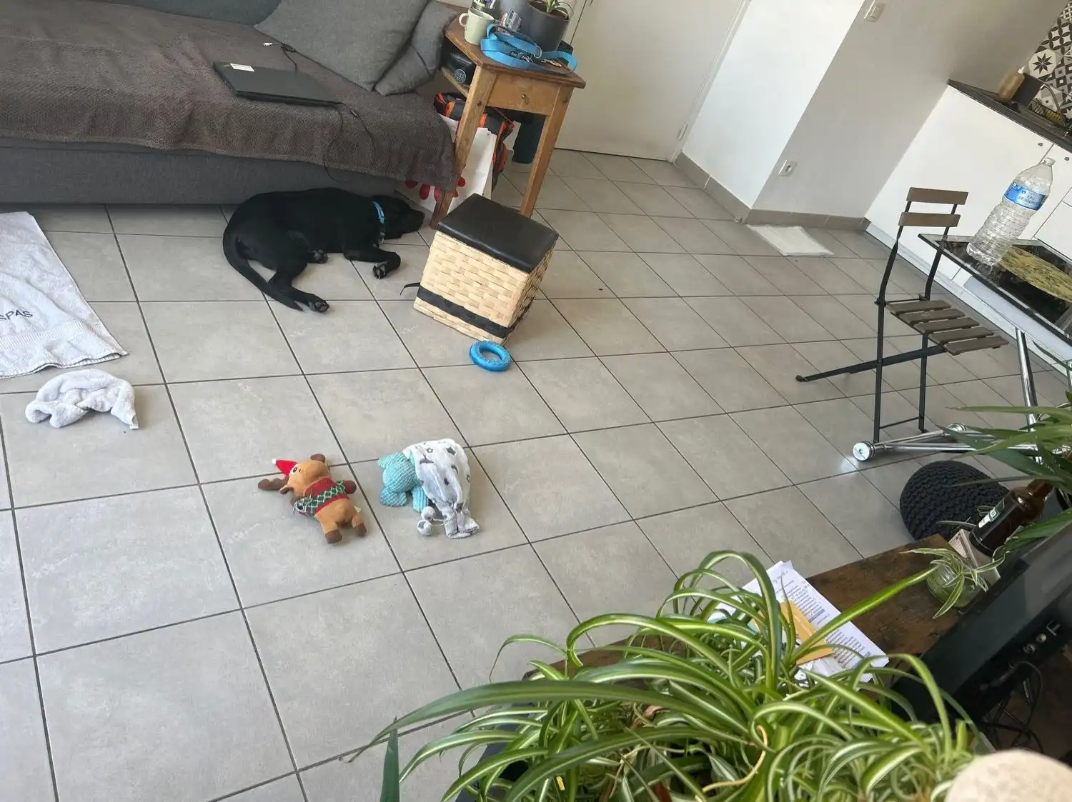 image-8