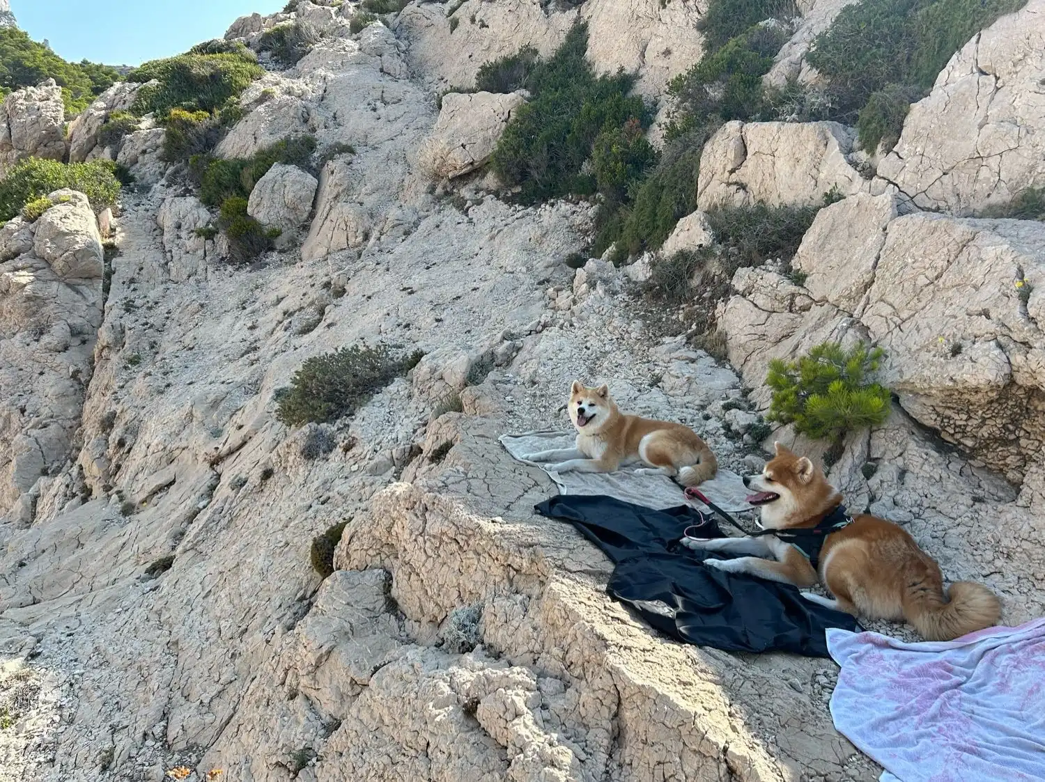 image-9