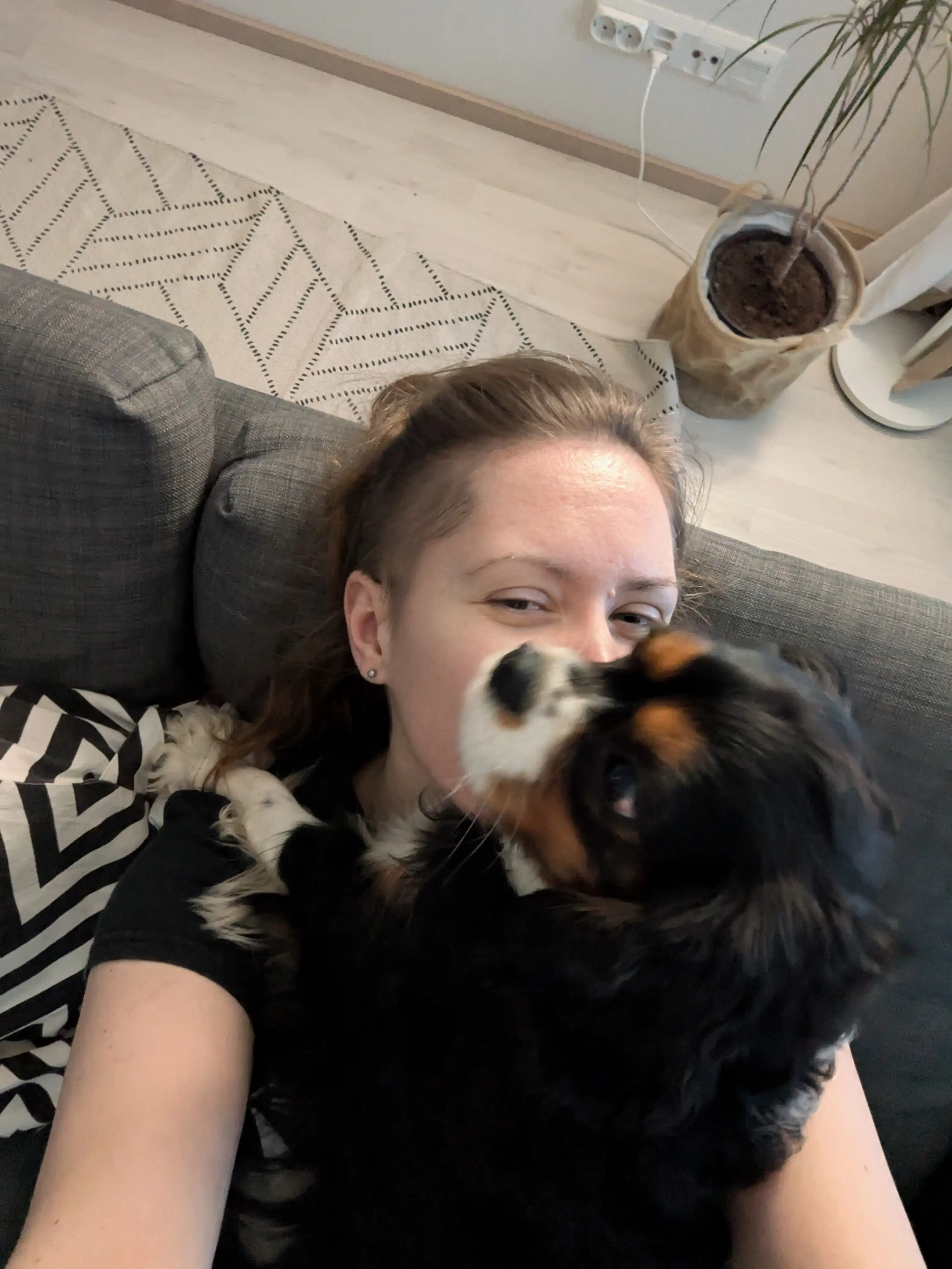 image-8