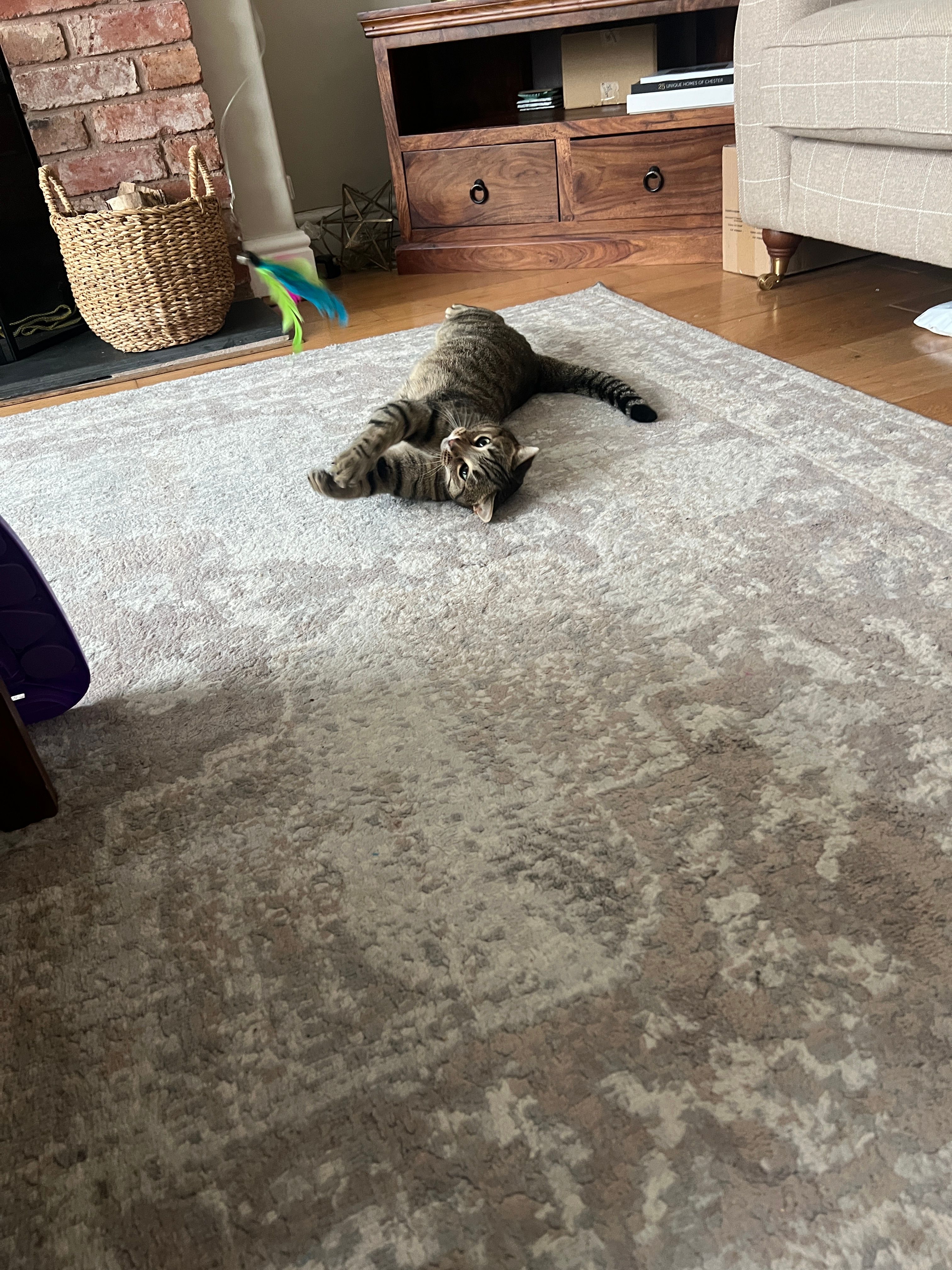 image-10