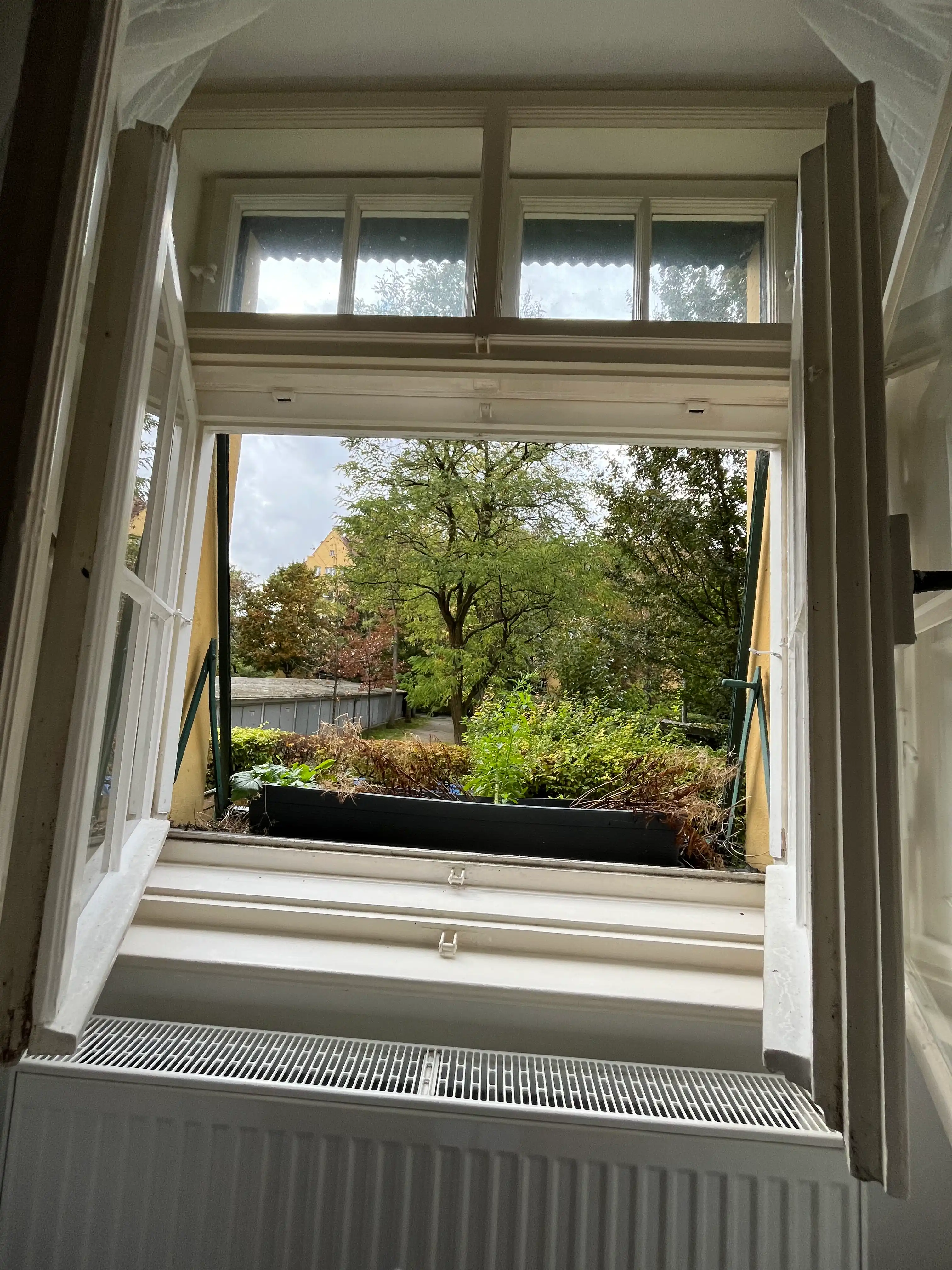 image-14