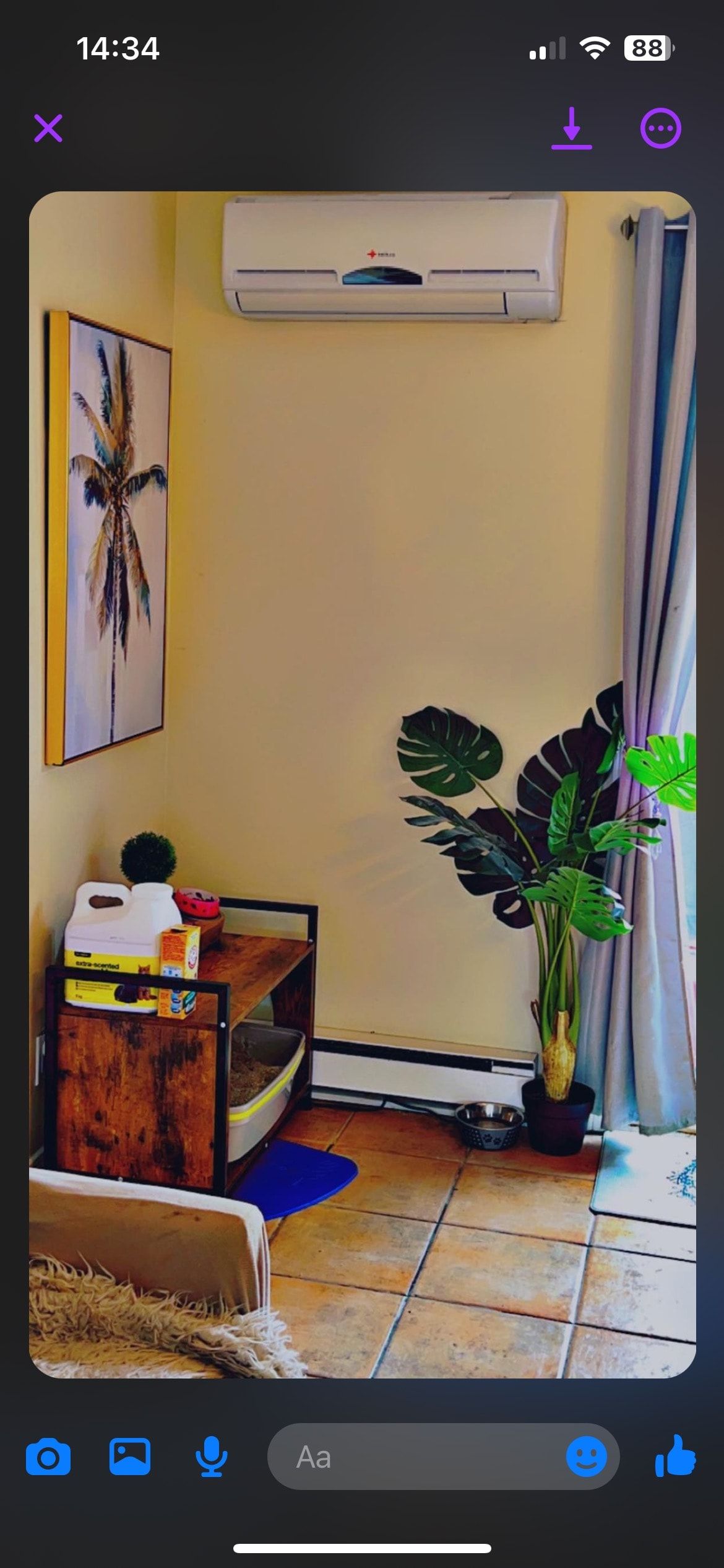 image-11