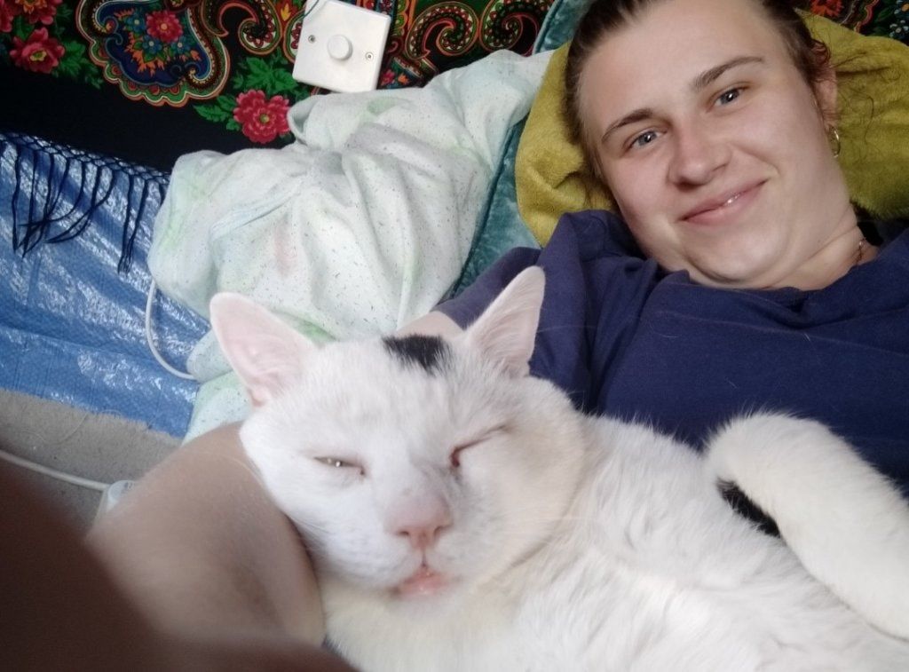 image-6