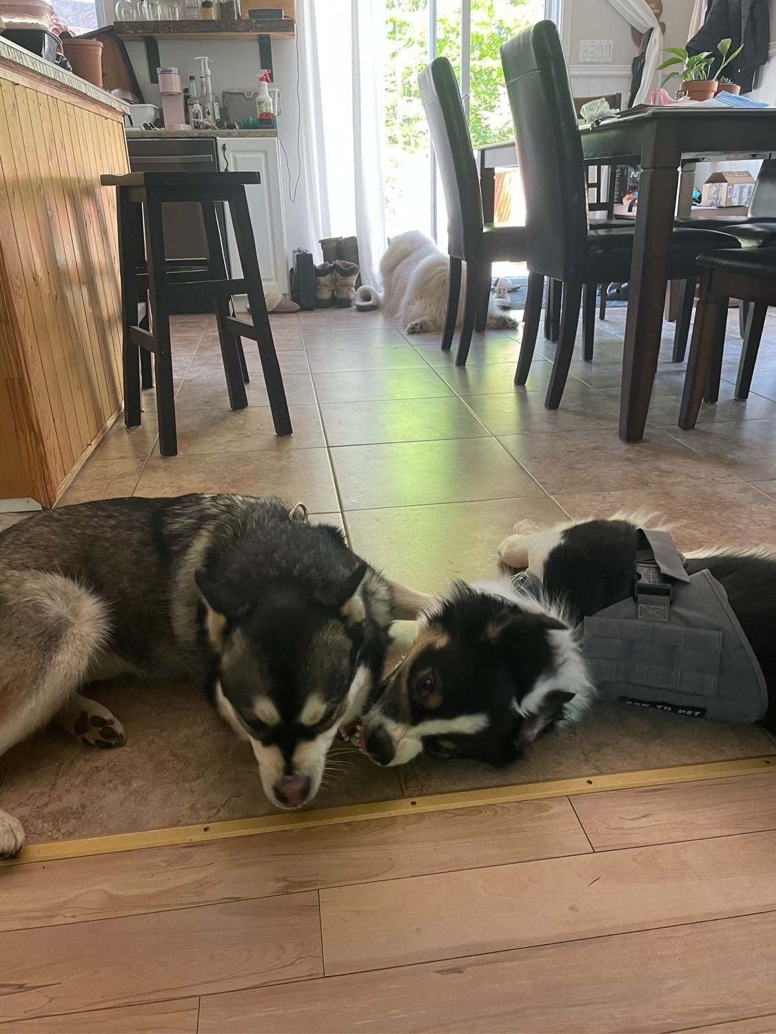 image-11