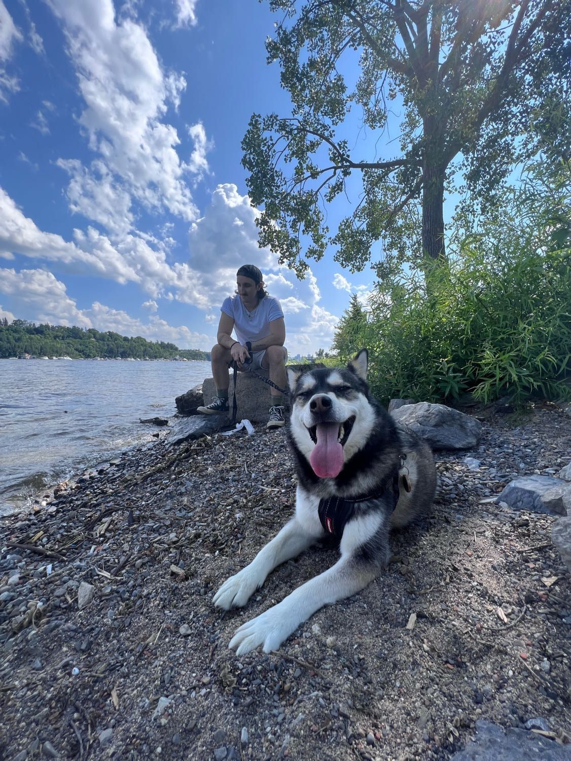 image-16