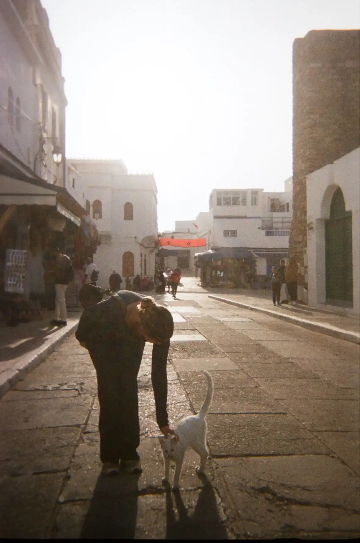 image-17