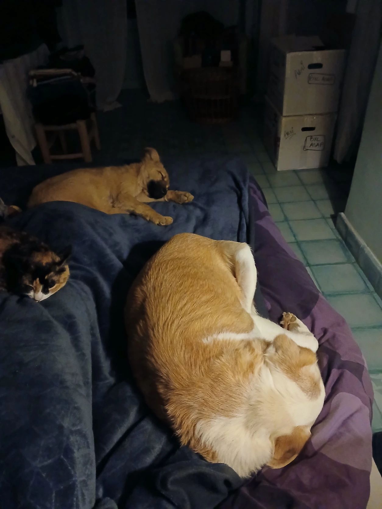 image-8