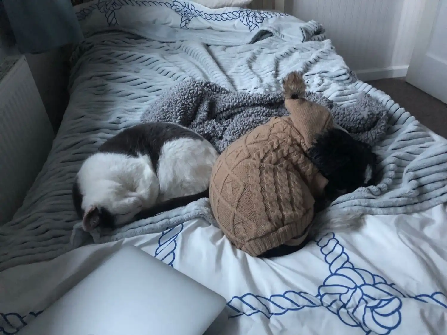 image-8