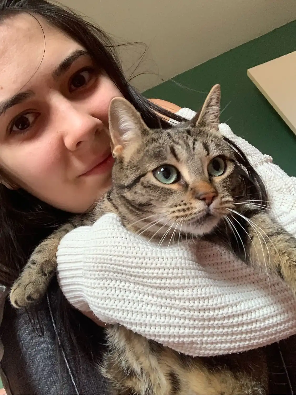 image-6