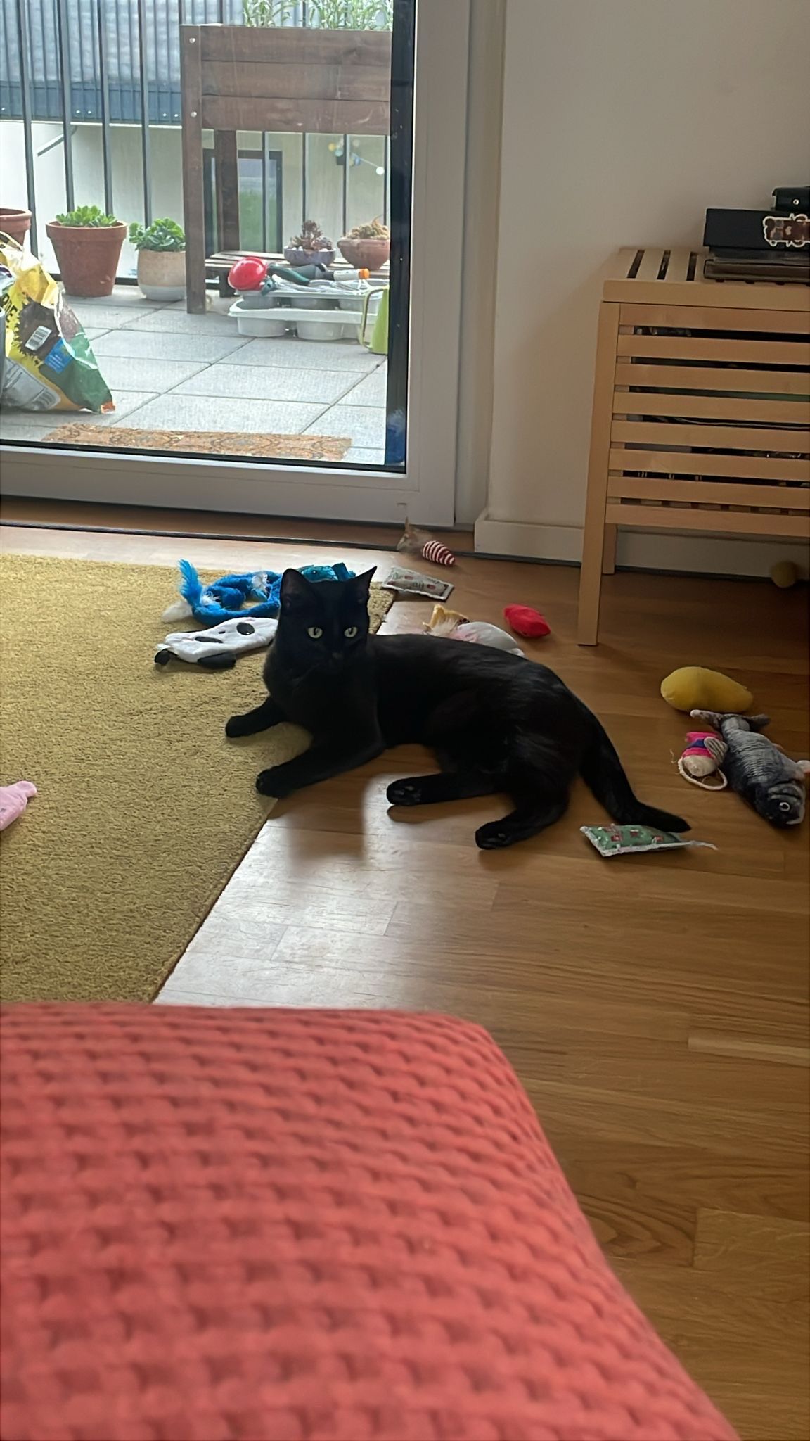 image-20