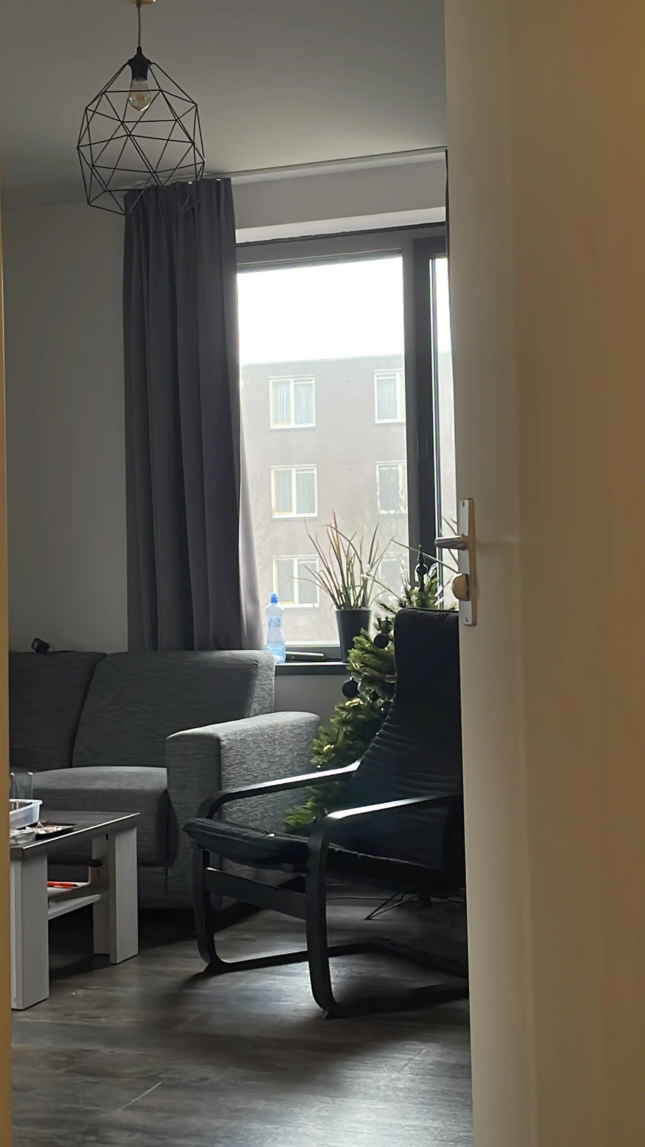 image-19