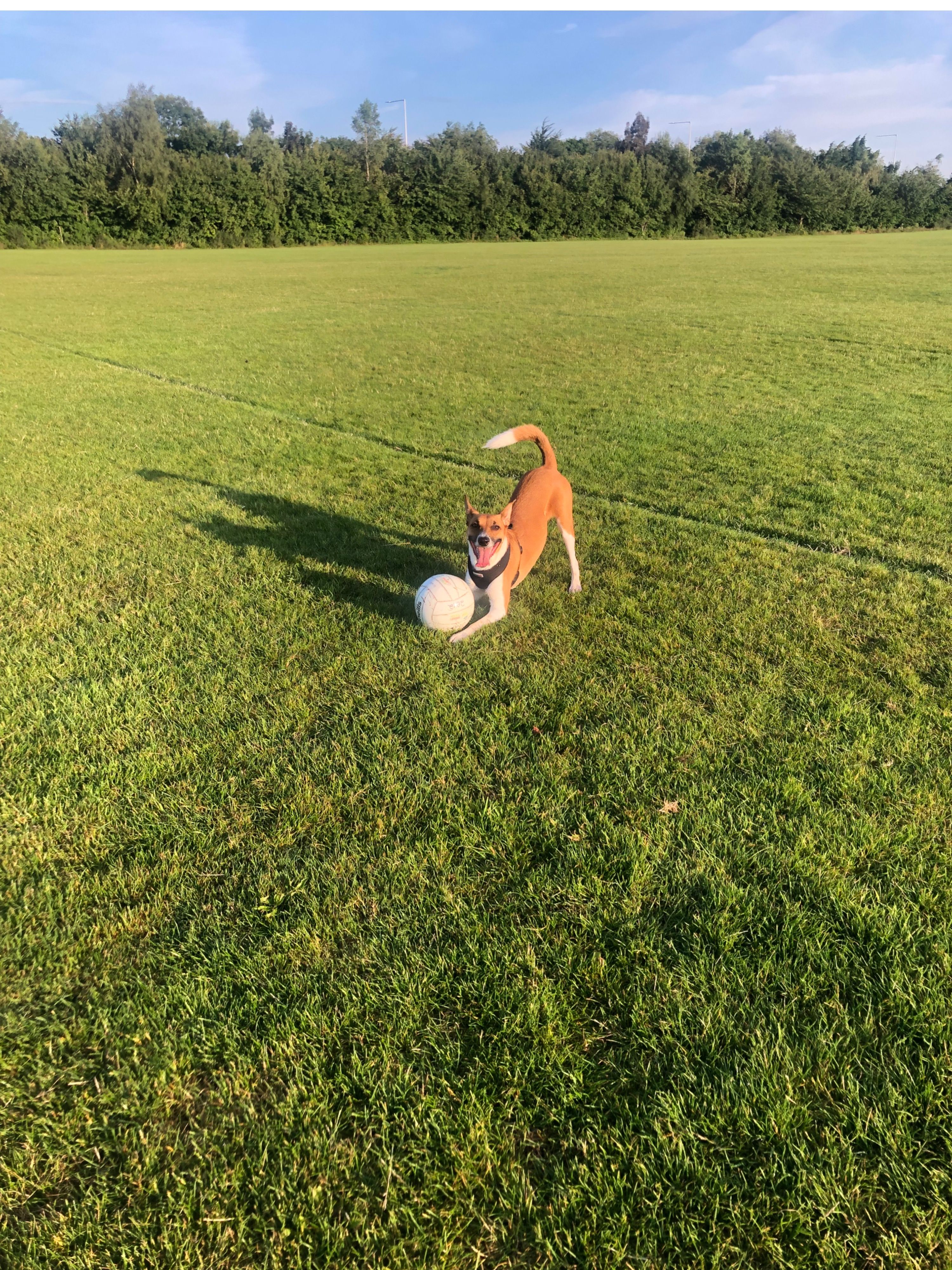 image-12