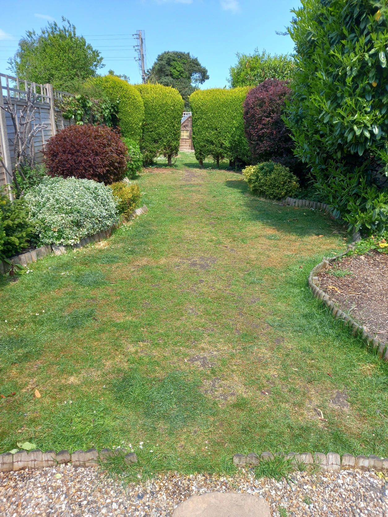 image-17