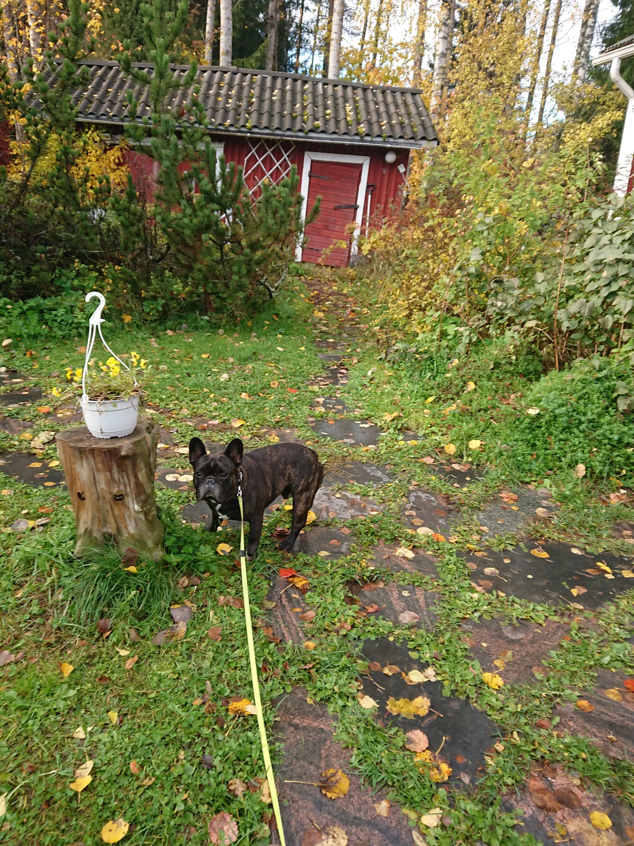 image-20